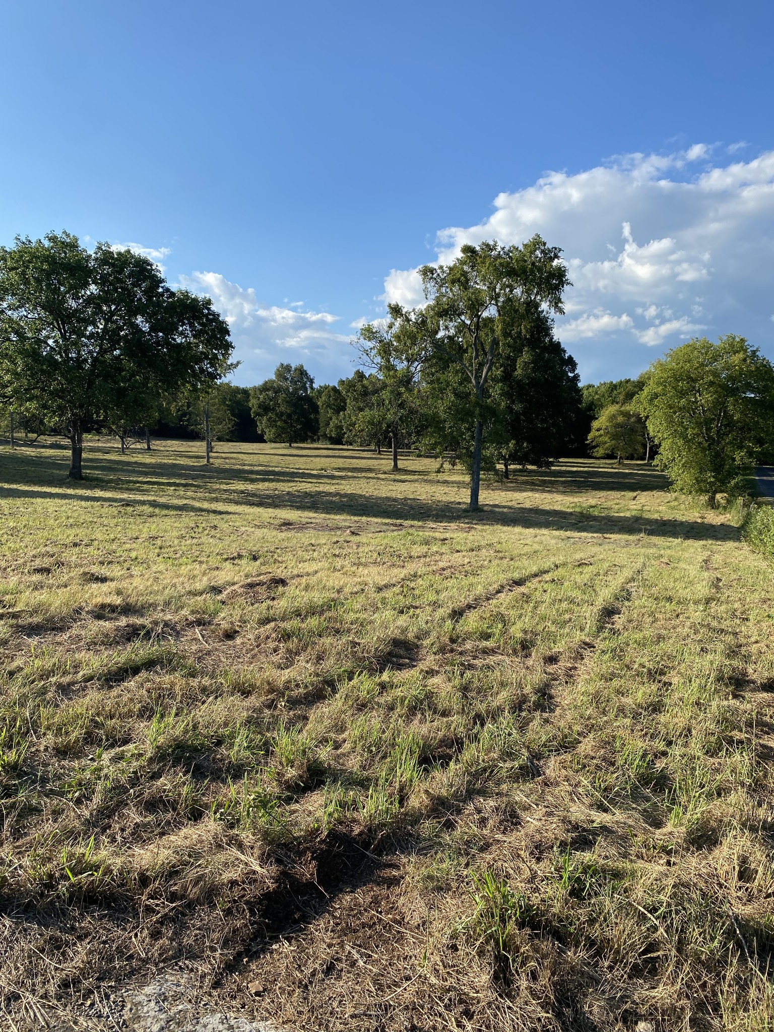 0 Mullins Chapel Road Shelbyville, TN 37160 - Photo 44 of 69 a view of an outdoor space and swimming pool