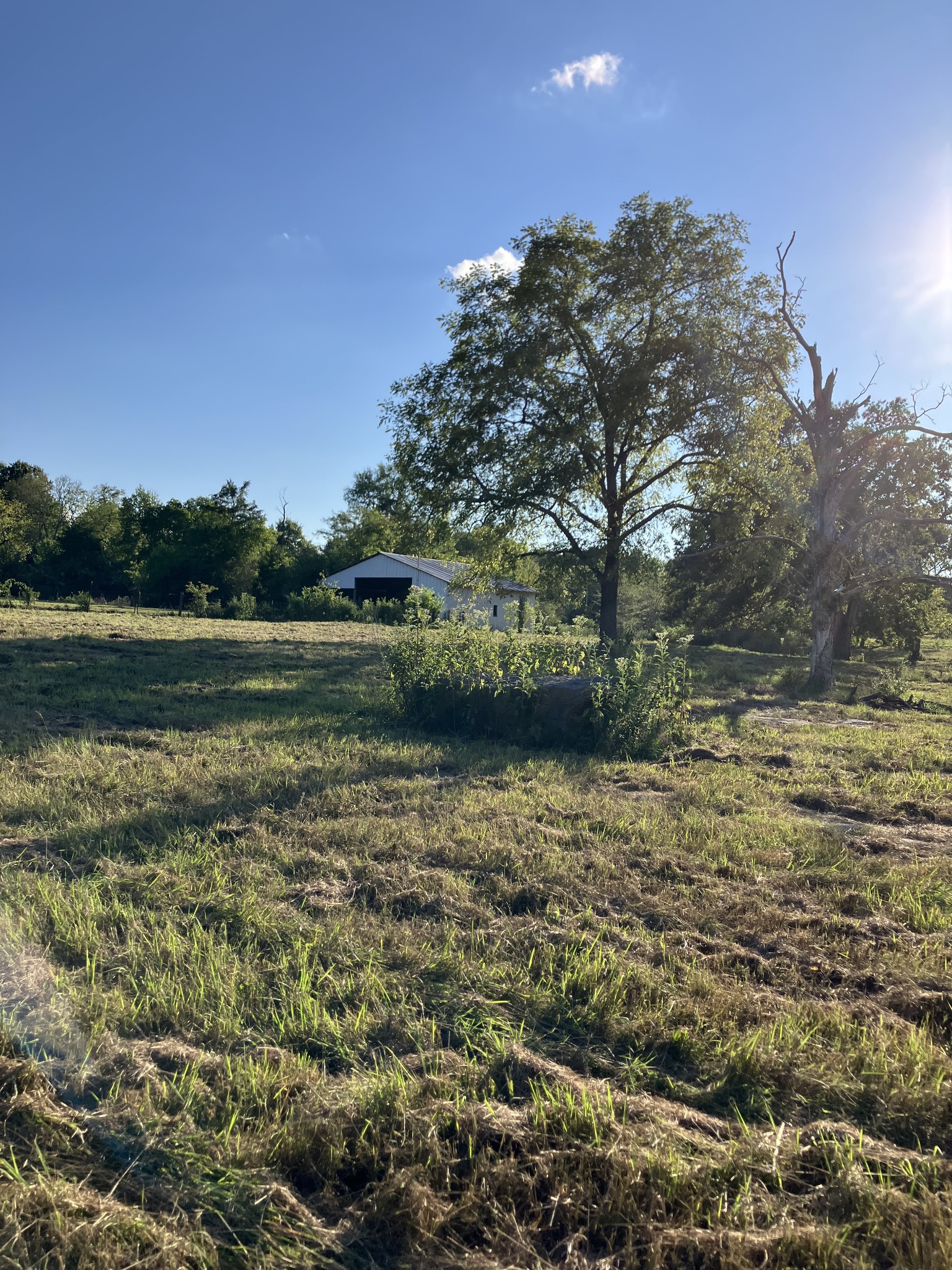 0 Mullins Chapel Road Shelbyville, TN 37160 - Photo 45 of 69 a view of a lake with houses in the back