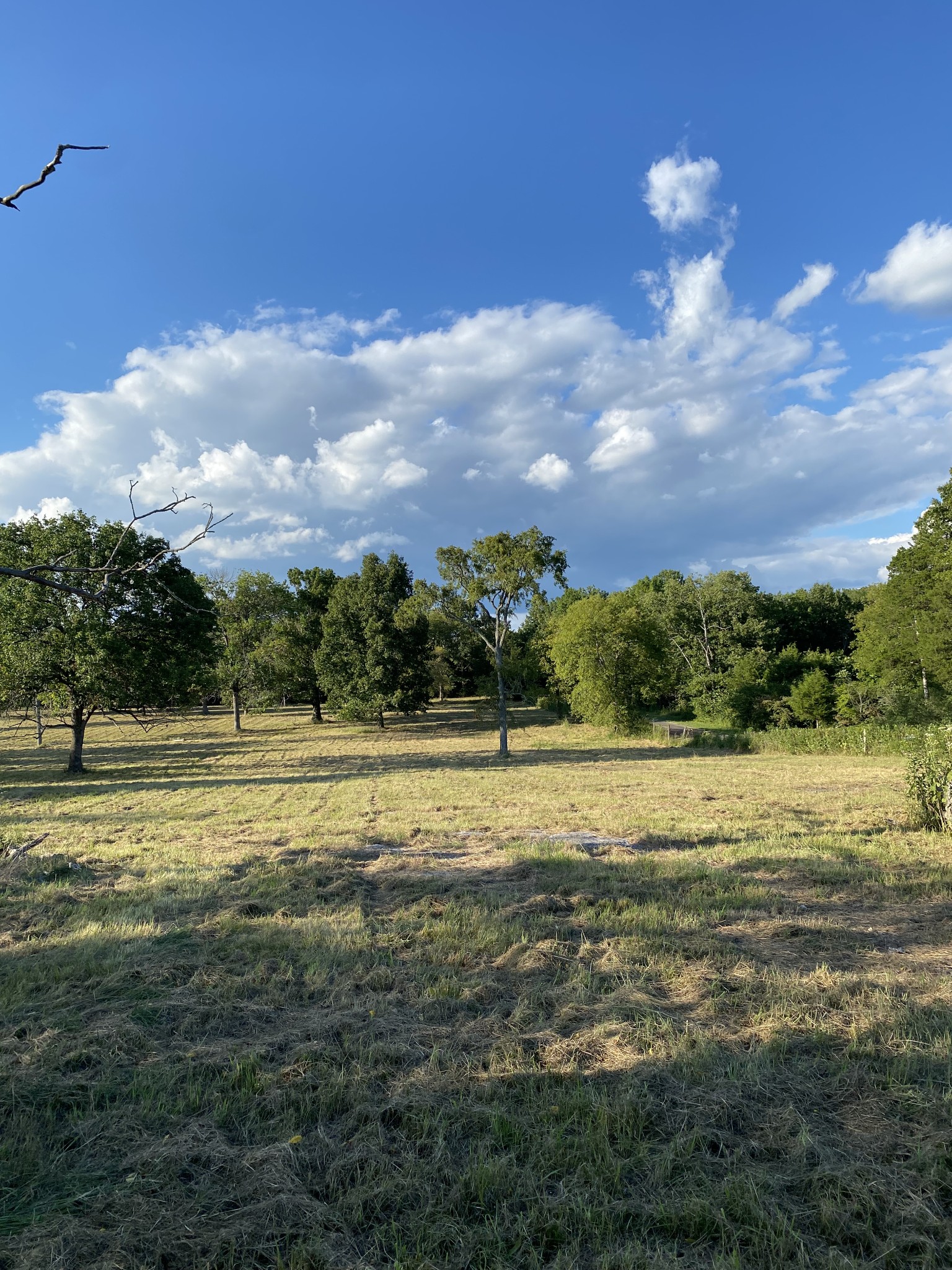 0 Mullins Chapel Road Shelbyville, TN 37160 - Photo 47 of 69