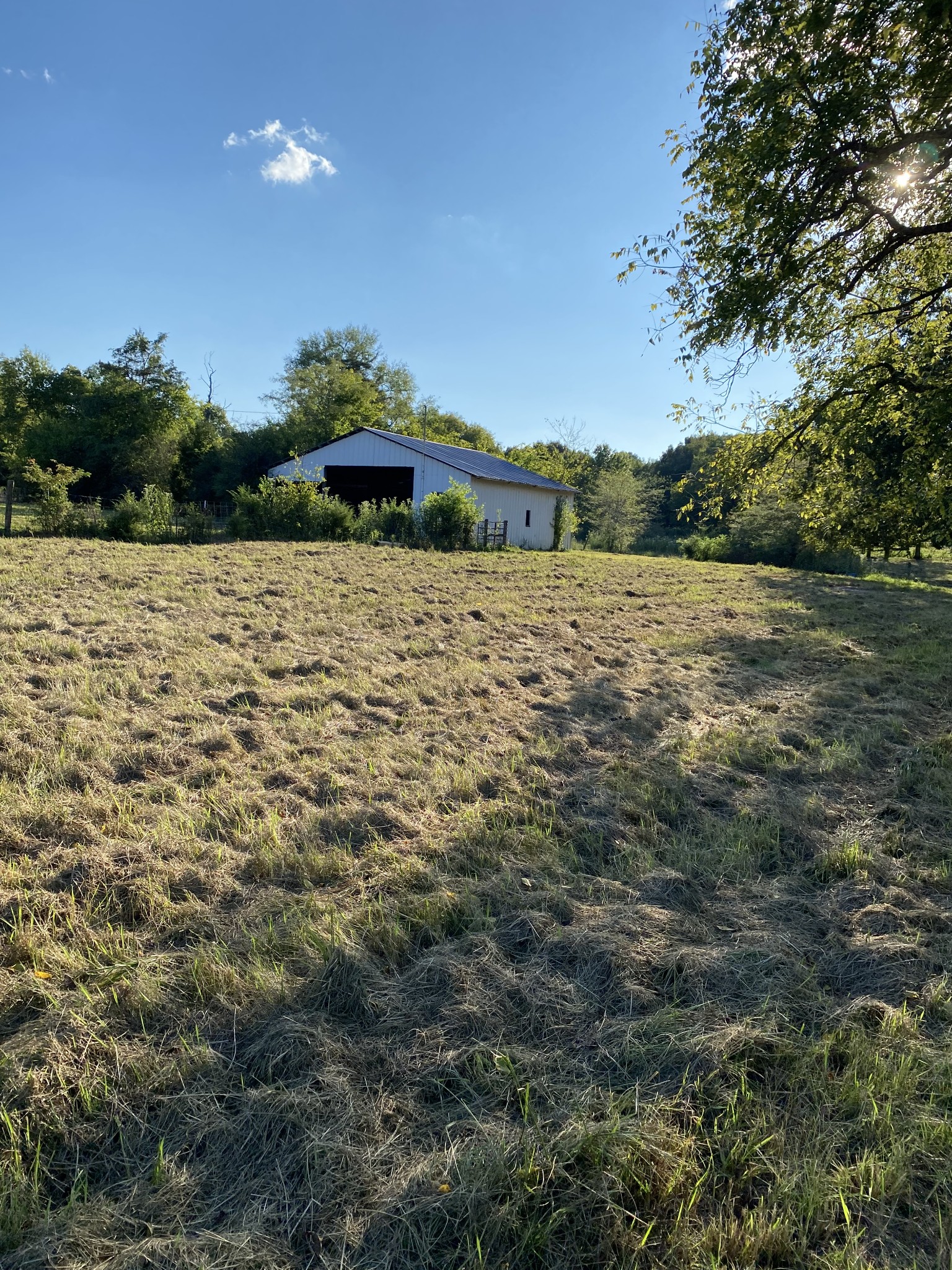 0 Mullins Chapel Road Shelbyville, TN 37160 - Photo 5 of 69