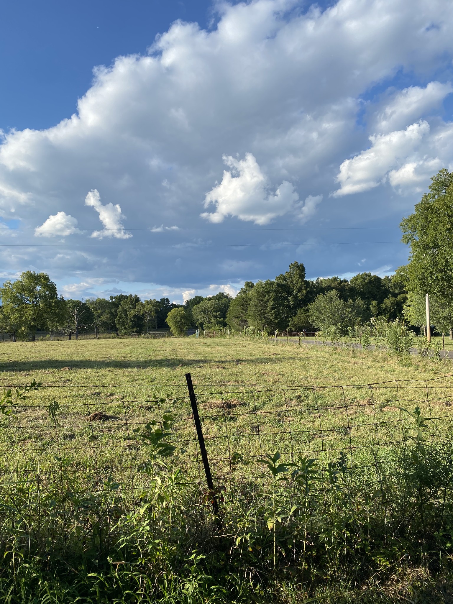 0 Mullins Chapel Road Shelbyville, TN 37160 - Photo 51 of 69 a view of an ocean and beach