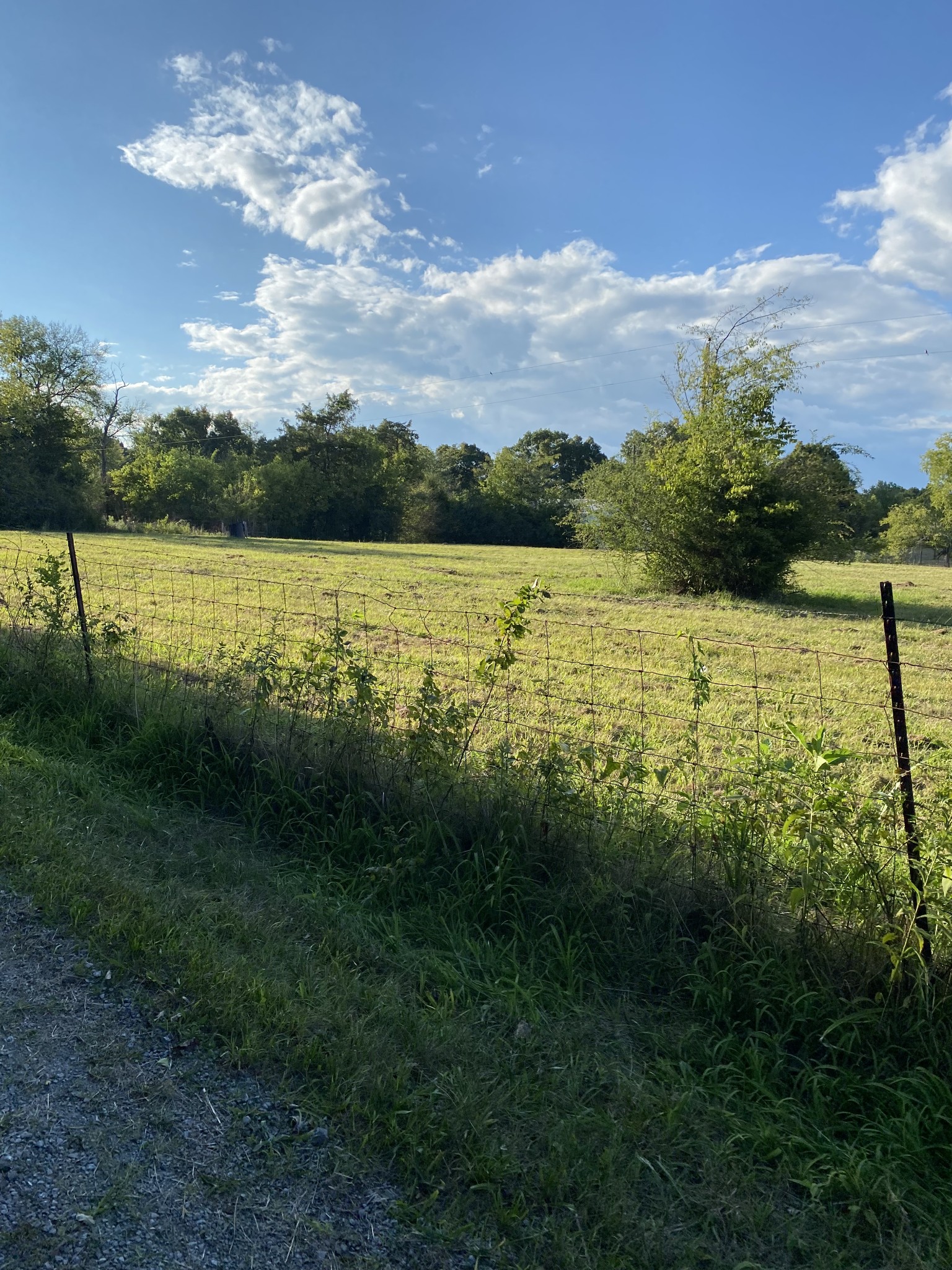 0 Mullins Chapel Road Shelbyville, TN 37160 - Photo 52 of 69 a view of an ocean and beach