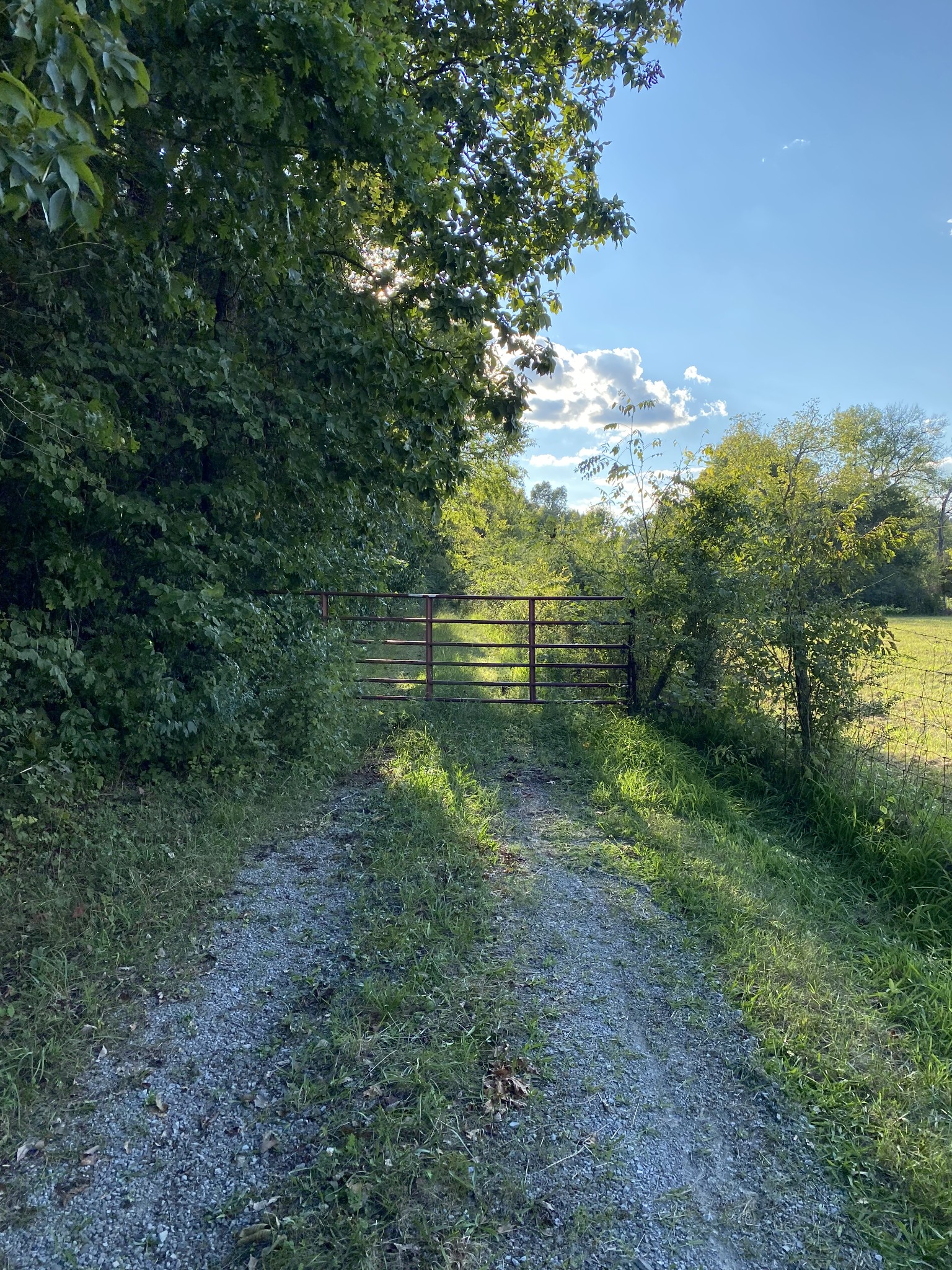 0 Mullins Chapel Road Shelbyville, TN 37160 - Photo 53 of 69 a view of outdoor space and trees