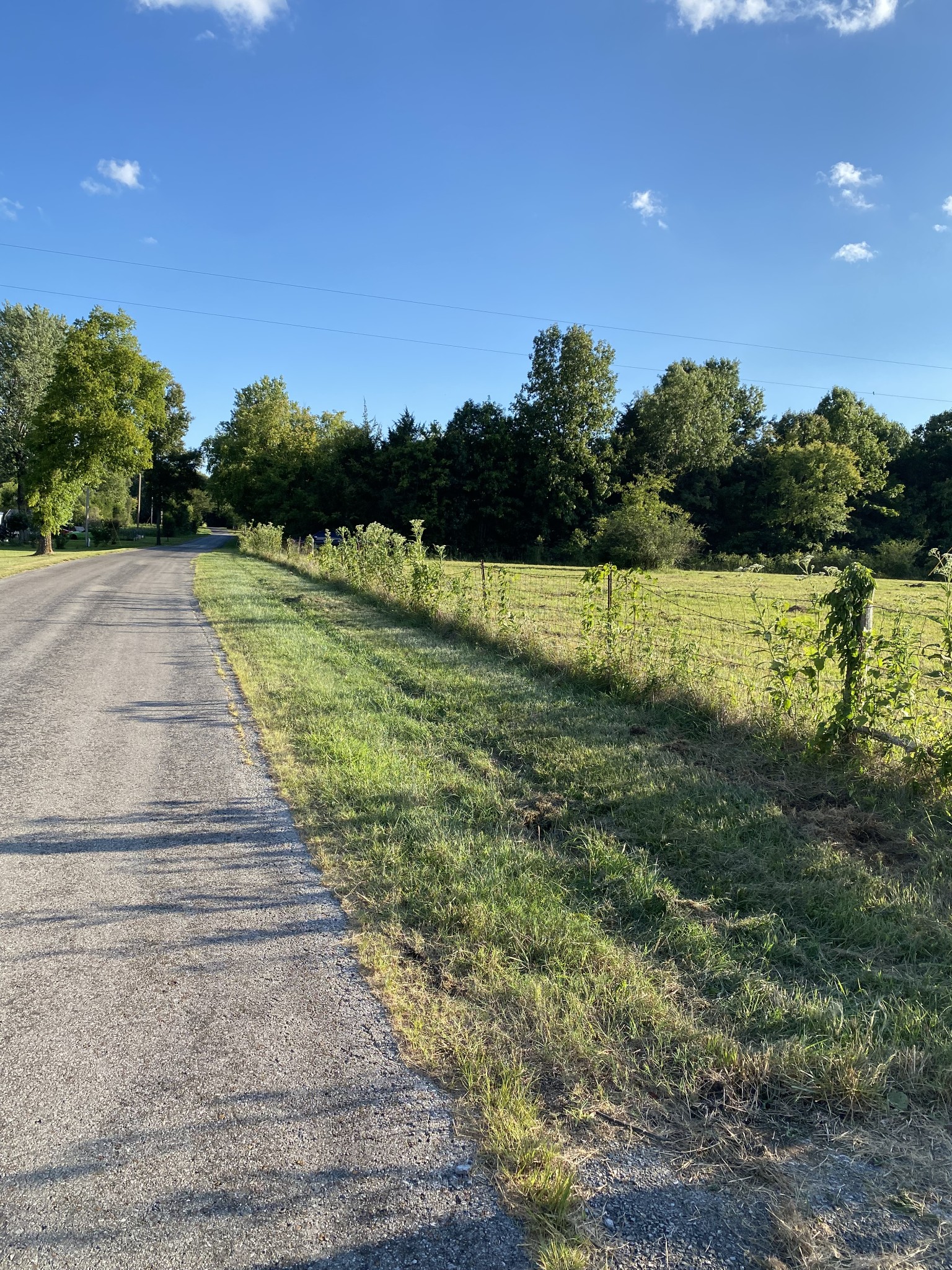 0 Mullins Chapel Road Shelbyville, TN 37160 - Photo 54 of 69