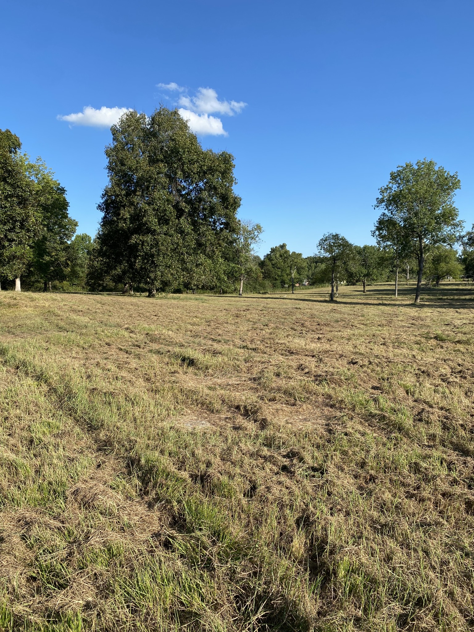 0 Mullins Chapel Road Shelbyville, TN 37160 - Photo 56 of 69 a view of an outdoor space and a yard