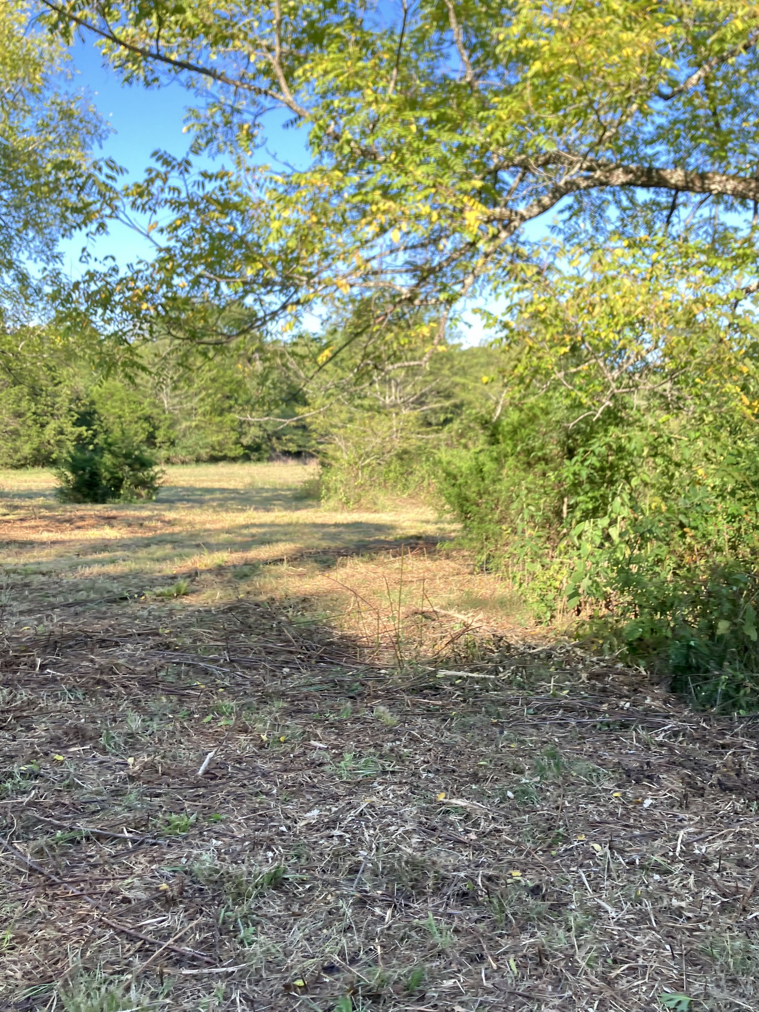 0 Mullins Chapel Road Shelbyville, TN 37160 - Photo 58 of 69 a view of an ocean and beach
