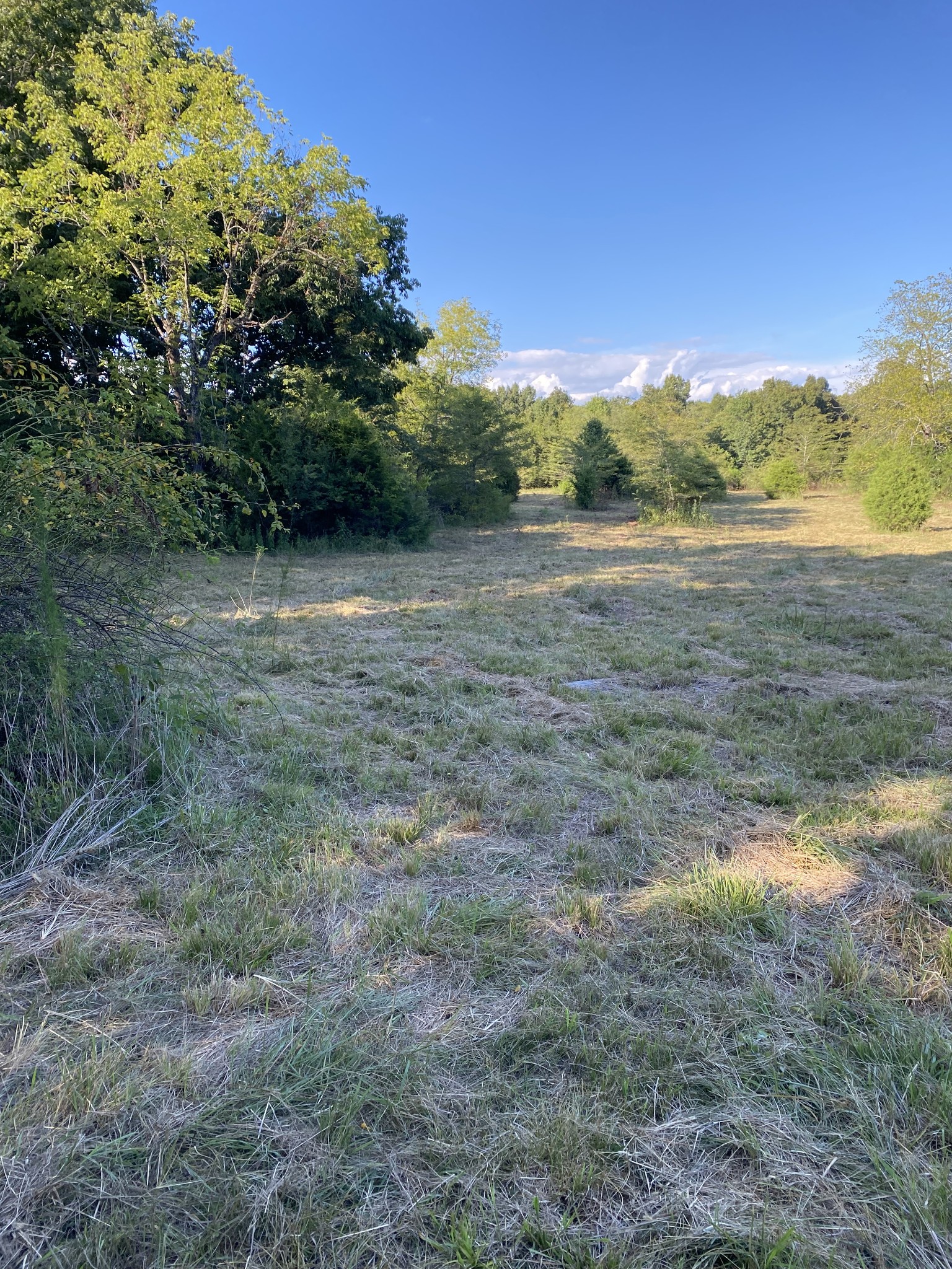 0 Mullins Chapel Road Shelbyville, TN 37160 - Photo 60 of 69 a view of an outdoor space with a lake view