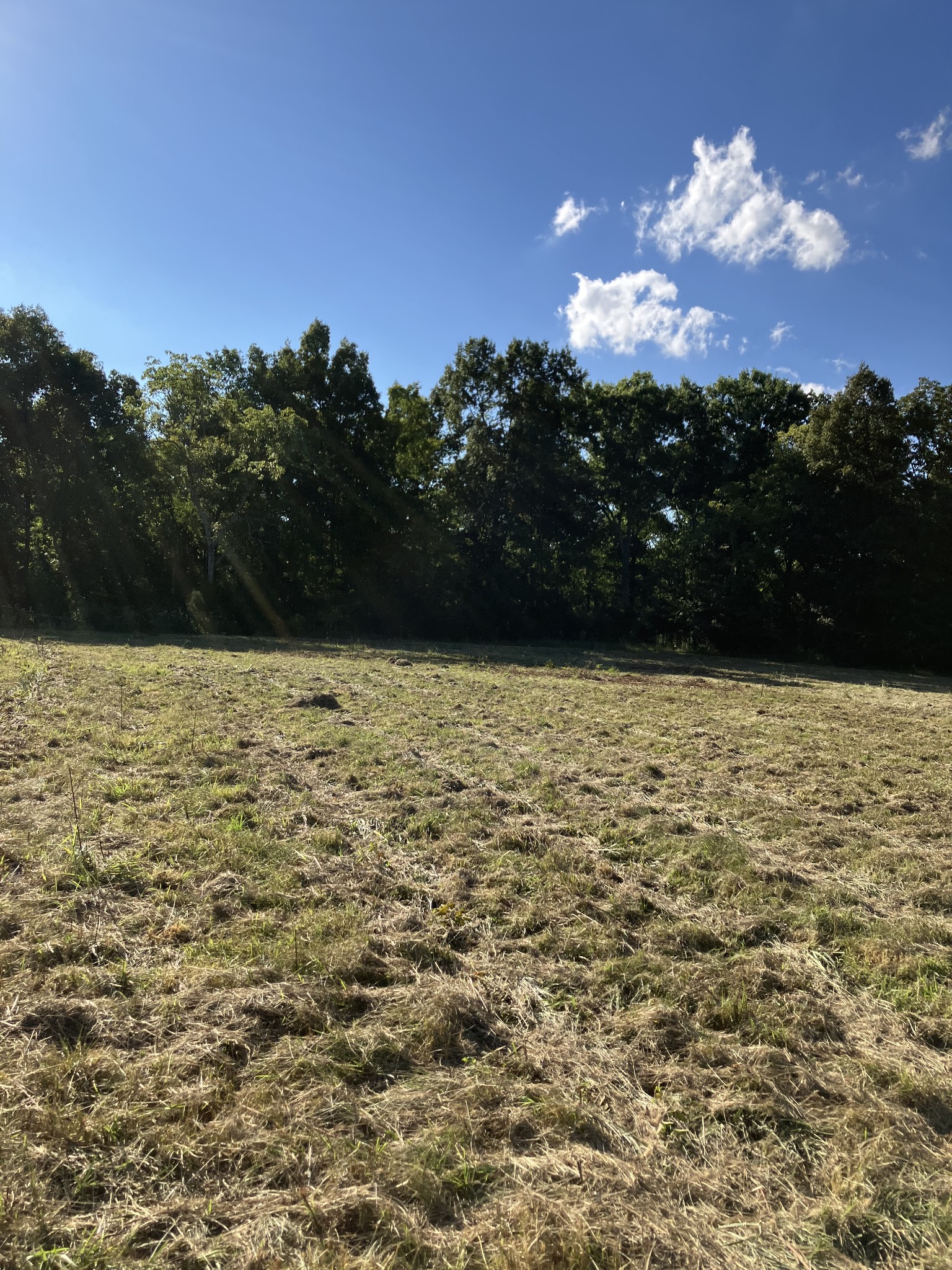 0 Mullins Chapel Road Shelbyville, TN 37160 - Photo 61 of 69 a view of a lake