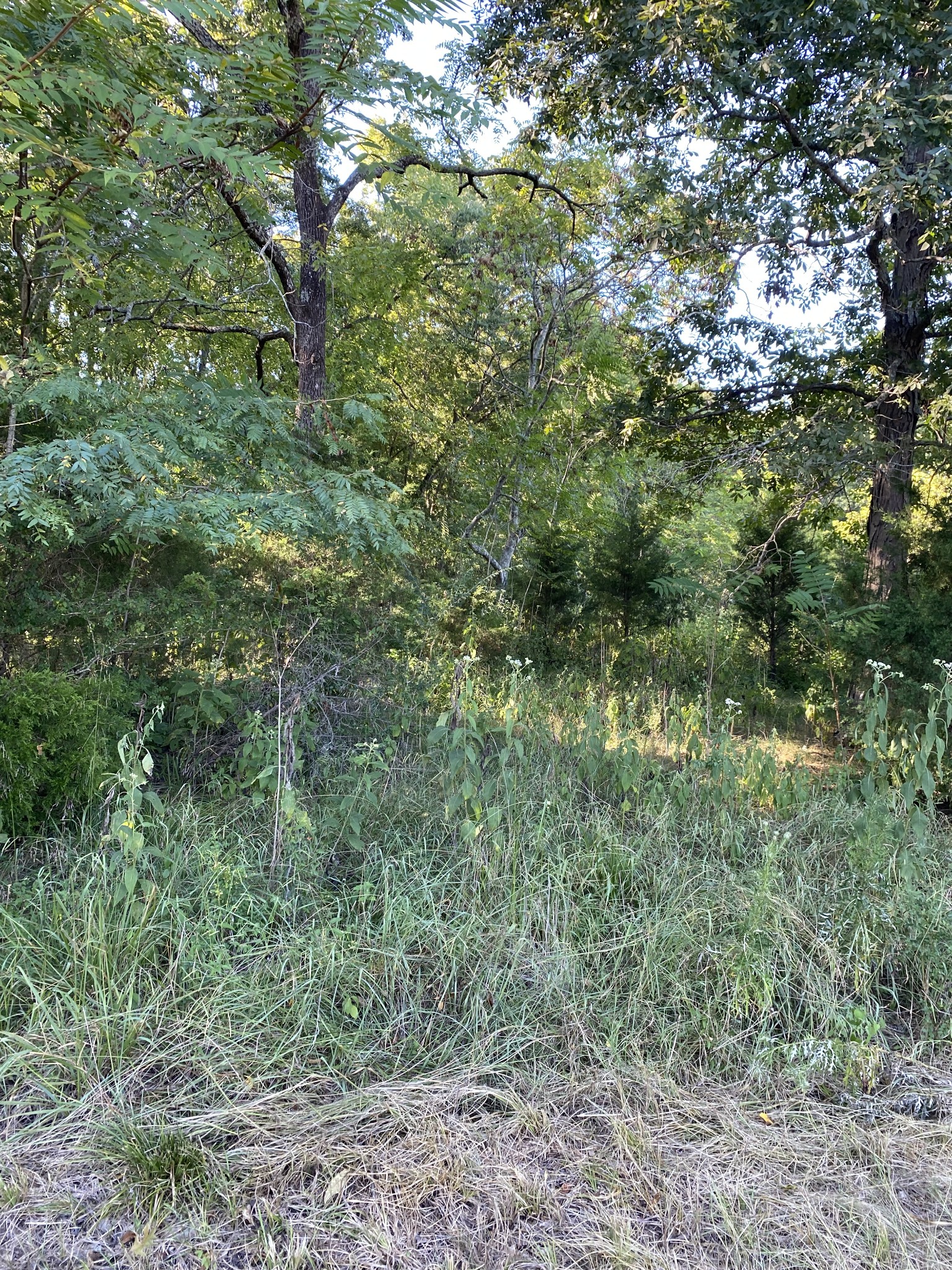 0 Mullins Chapel Road Shelbyville, TN 37160 - Photo 62 of 69