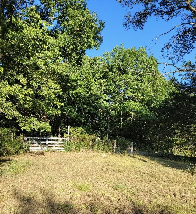 0 Mullins Chapel Road Shelbyville, TN 37160 - Photo 64 of 69 a view of swimming pool with a yard