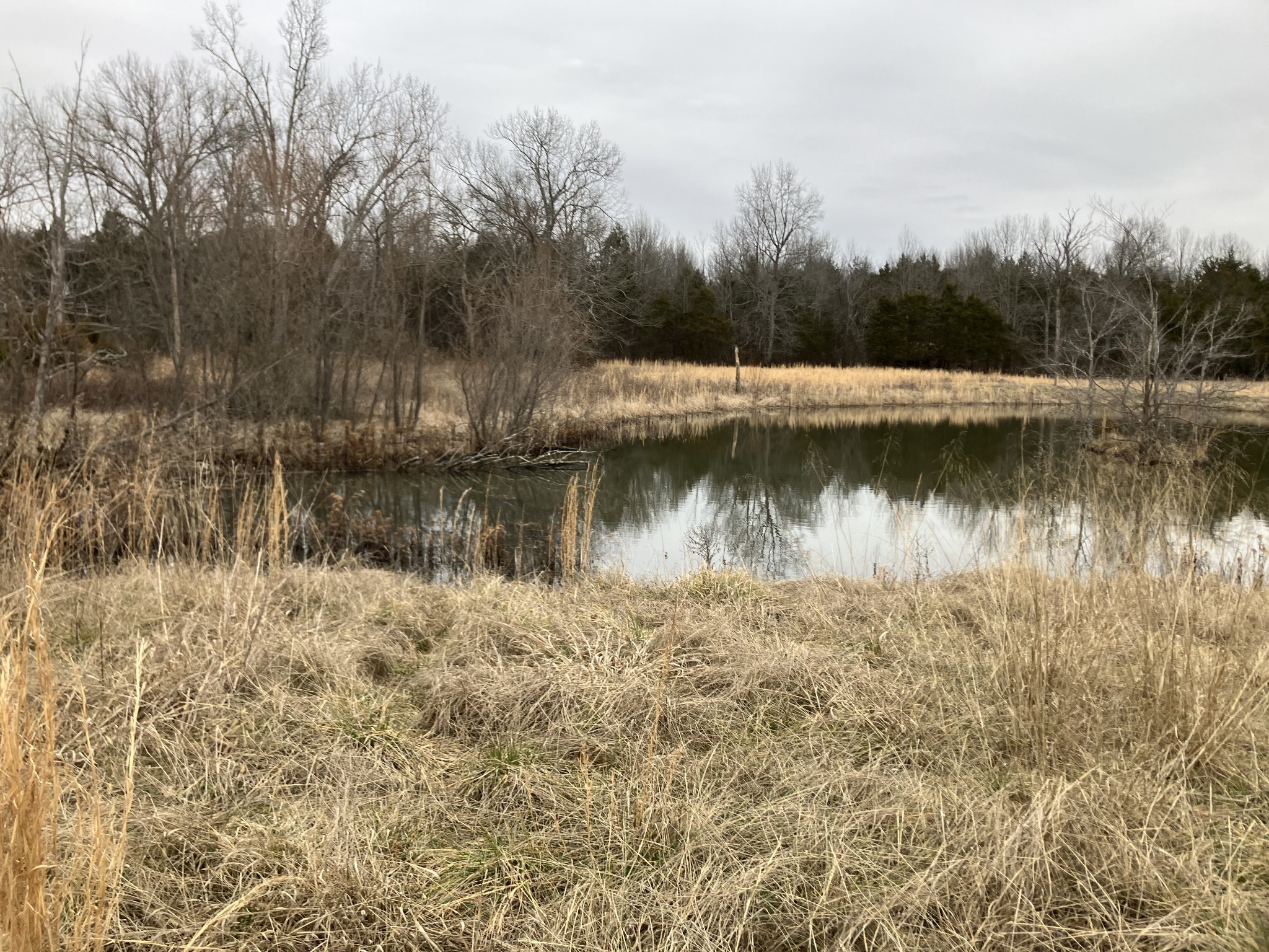 0 Mullins Chapel Road Shelbyville, TN 37160 - Photo 66 of 69 a view of a lake
