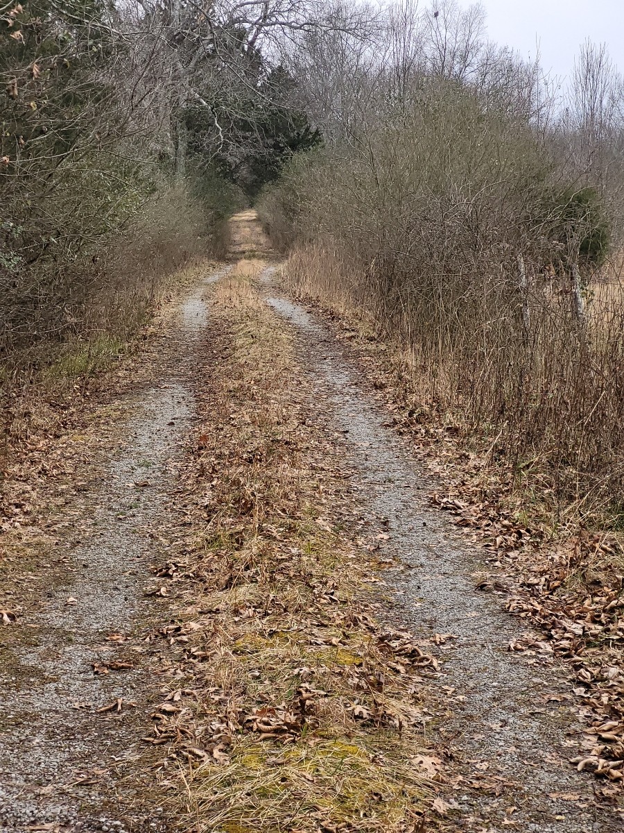 0 Mullins Chapel Road Shelbyville, TN 37160 - Photo 67 of 69 a view of a lake view