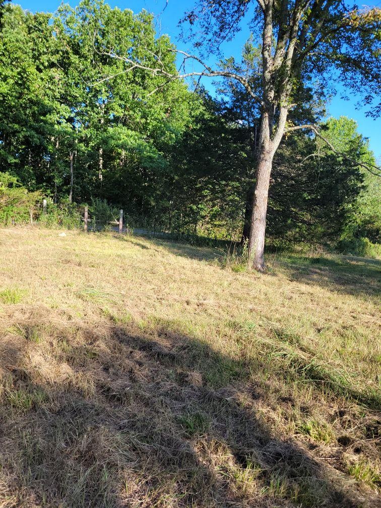 0 Mullins Chapel Road Shelbyville, TN 37160 - Photo 10 of 69 a view of yard with tree