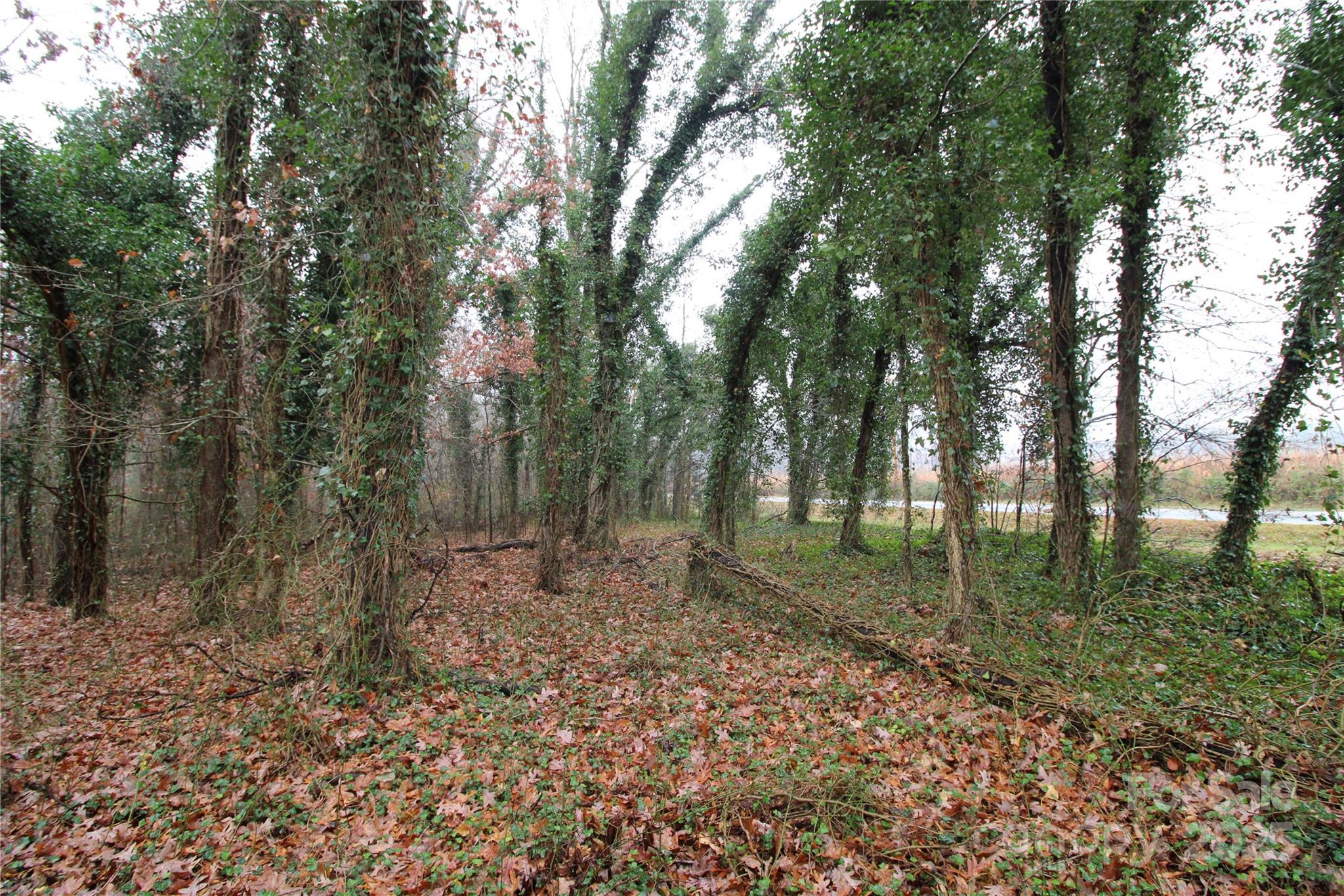 3-ac Eaker Road, Unit LOT 8 Bessemer City, NC 28016 - Photo 2 of 5 a view of a forest with trees in the background