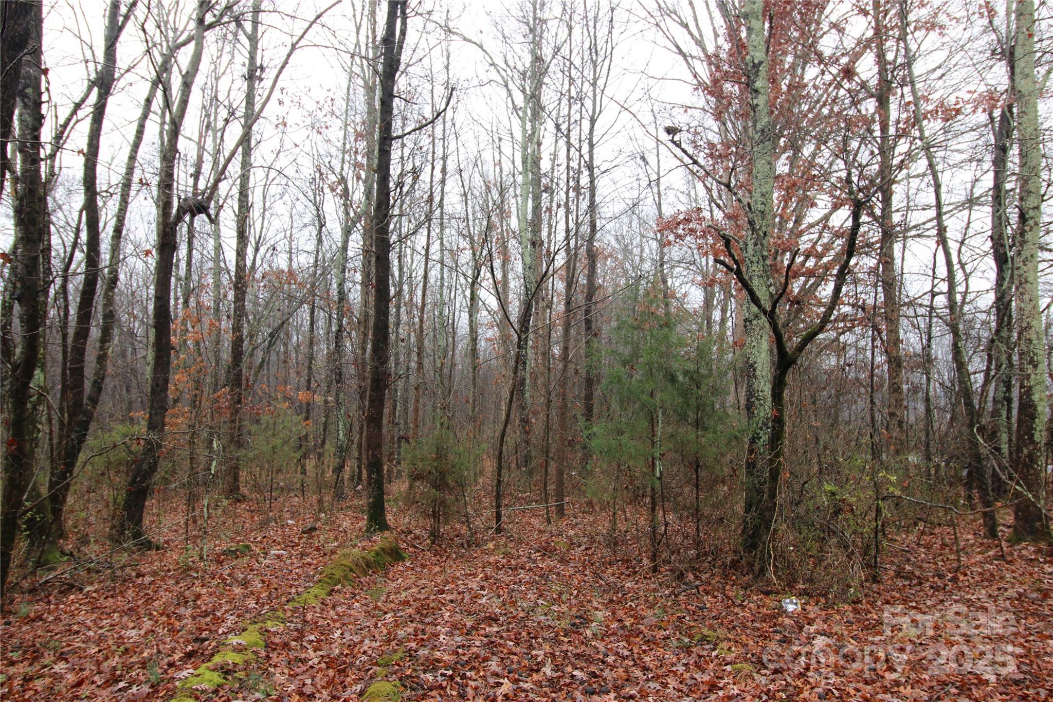 3-ac Eaker Road, Unit LOT 8 Bessemer City, NC 28016 - Photo 4 of 5