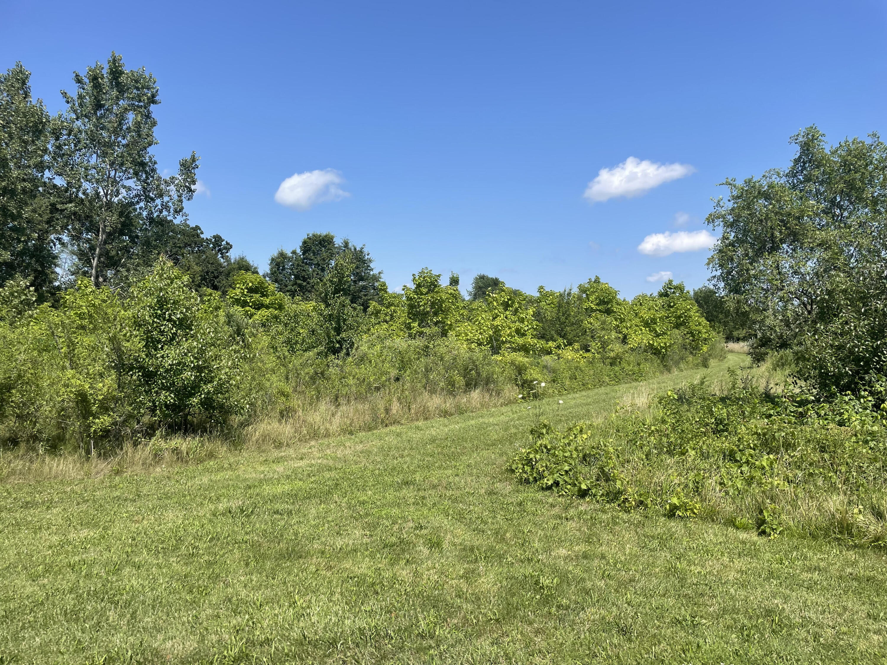 0 Hills Road Baroda, MI 49101 - Photo 2 of 2 0 Hills Road