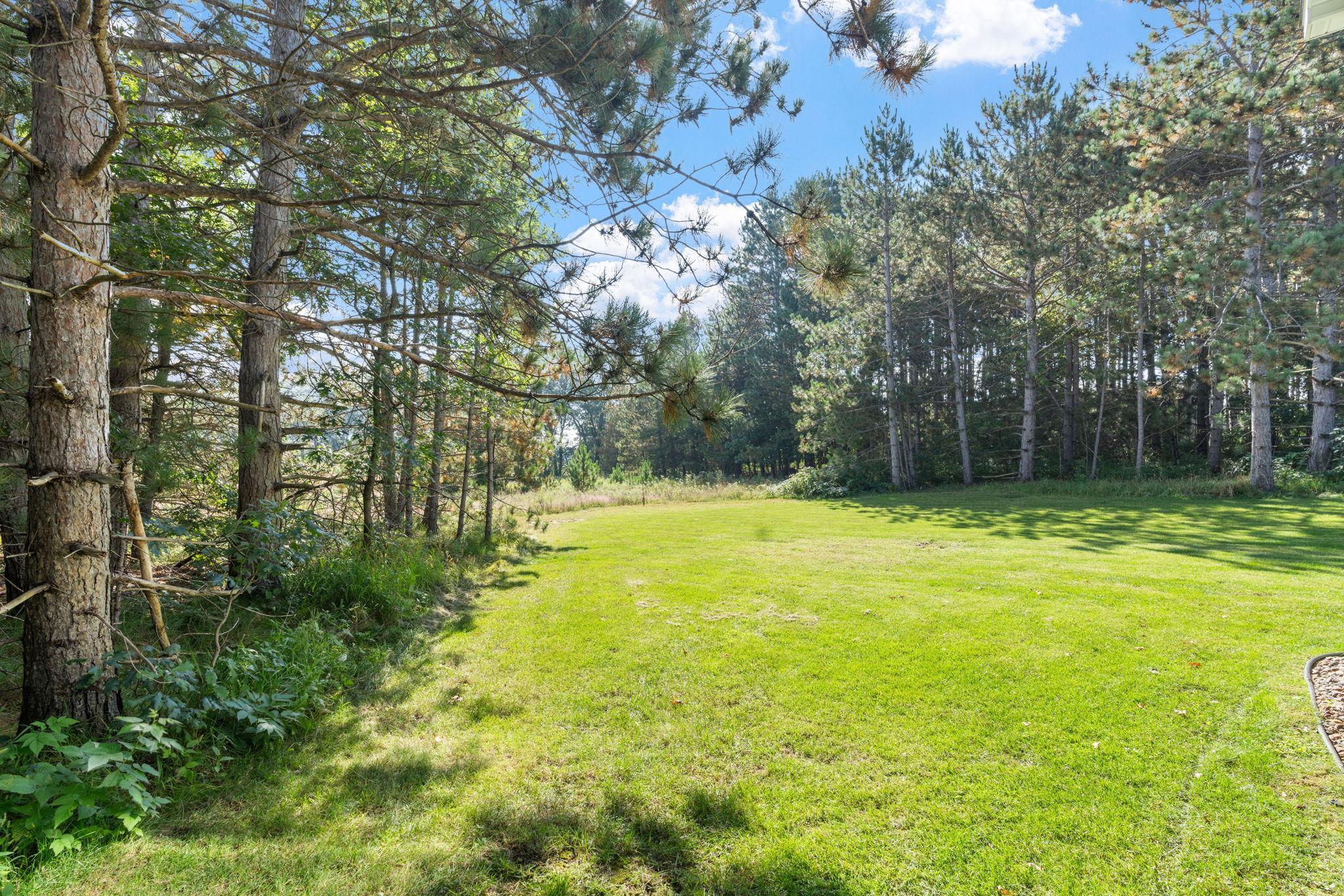 21873 Drake Street Northwest Oak Grove, MN 55011 - Photo 6 of 67