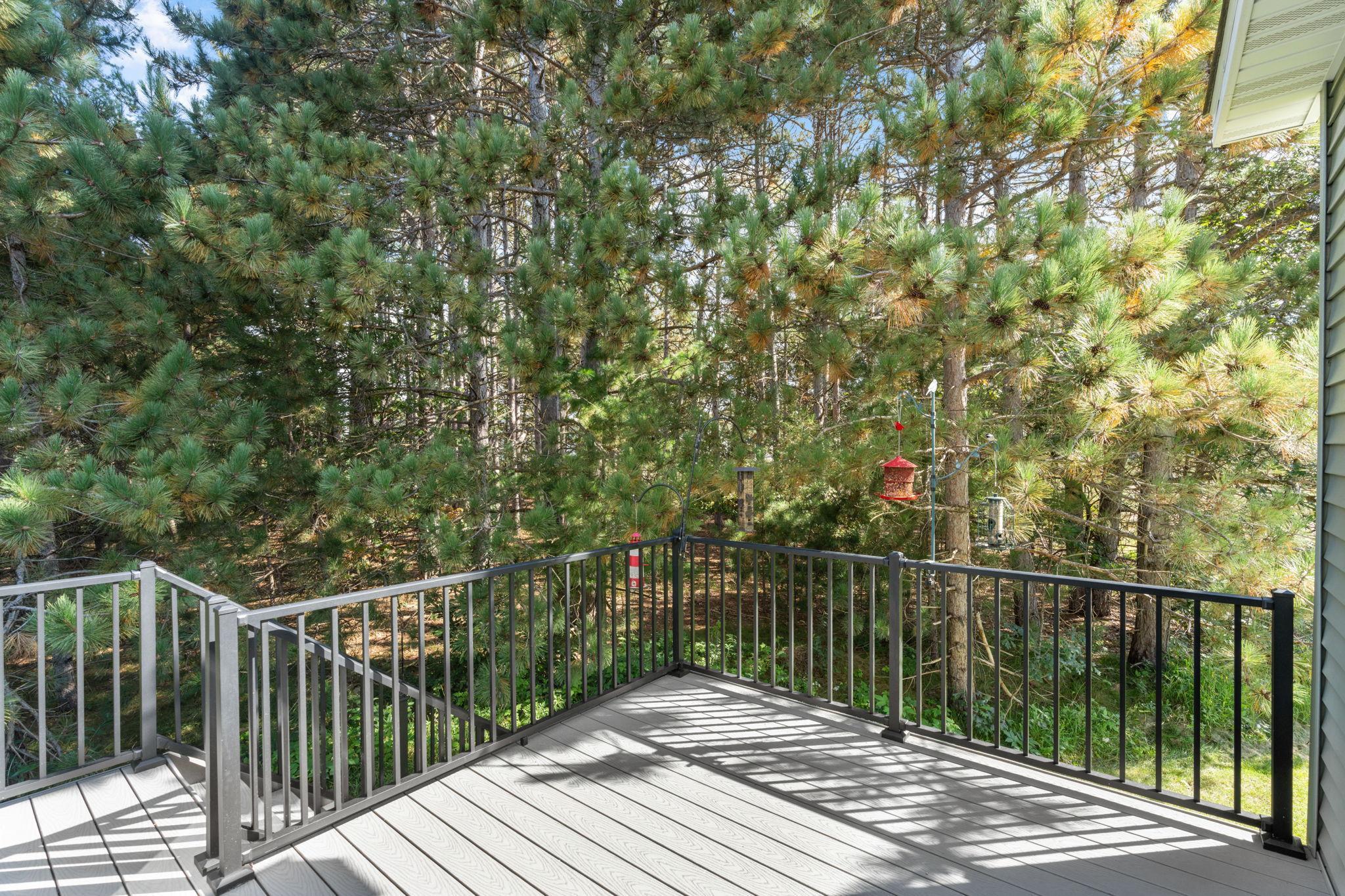 21873 Drake Street Northwest Oak Grove, MN 55011 - Photo 61 of 67