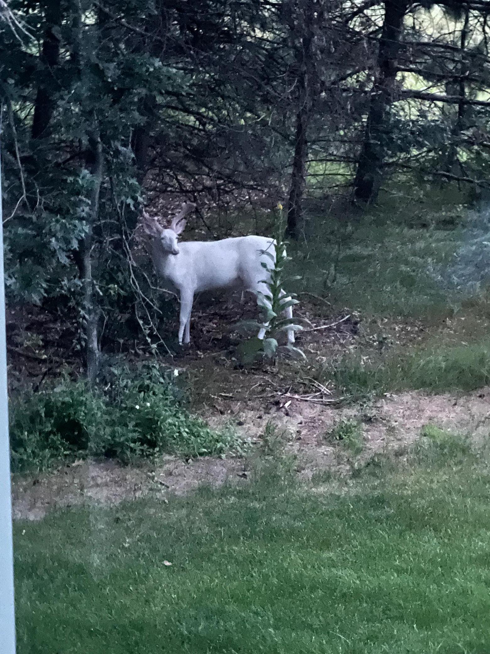 21873 Drake Street Northwest Oak Grove, MN 55011 - Photo 64 of 67