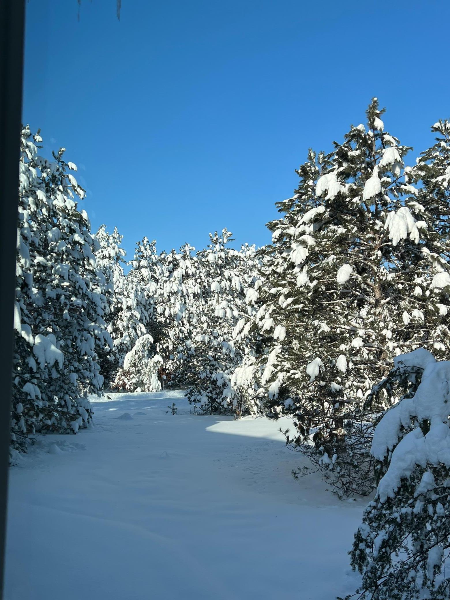 21873 Drake Street Northwest Oak Grove, MN 55011 - Photo 65 of 67