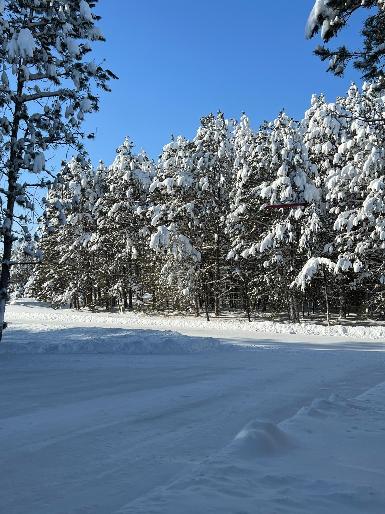 21873 Drake Street Northwest Oak Grove, MN 55011 - Photo 66 of 67