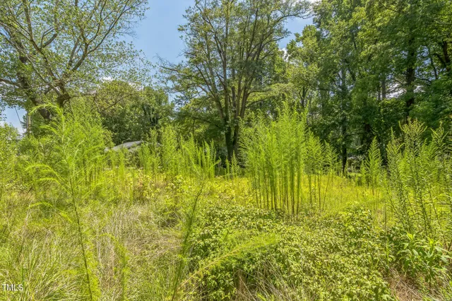 a view of swimming pool from a yard