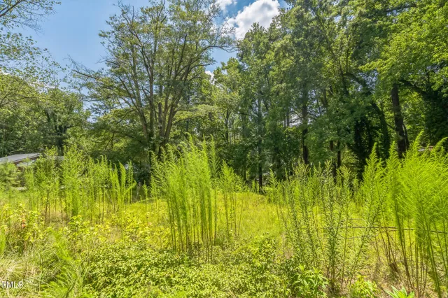 a view of yard from balcony