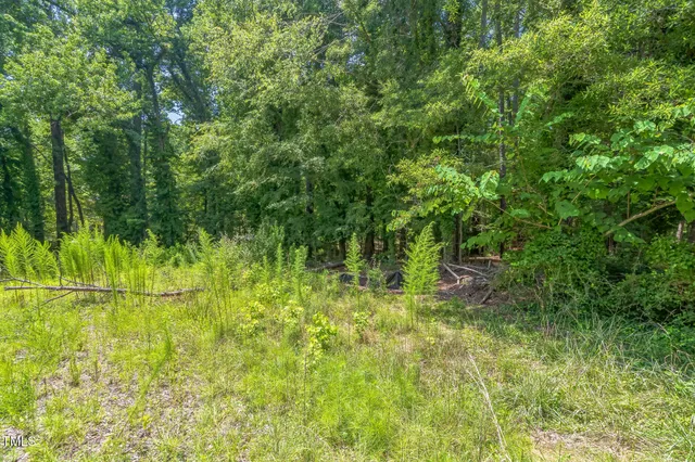 a backyard of a house with lots of green space and trees all around