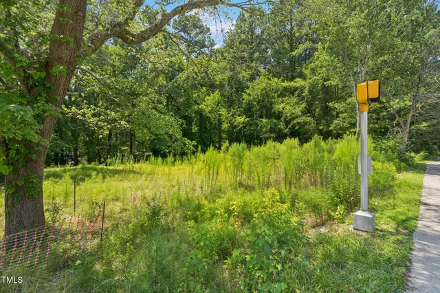 a fire hydrant in the middle of a forest