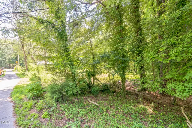 a view of a lush green forest
