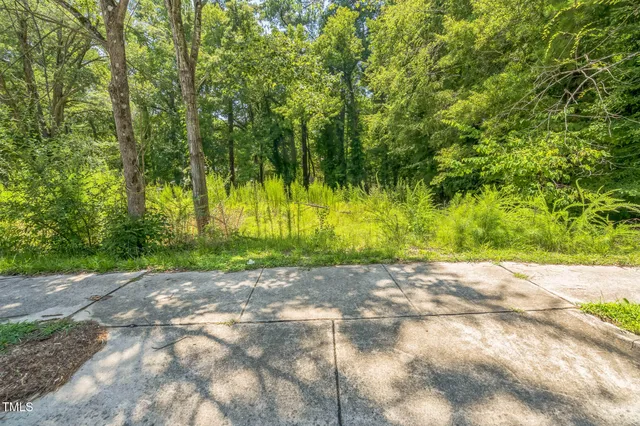 a view of a yard with a trees
