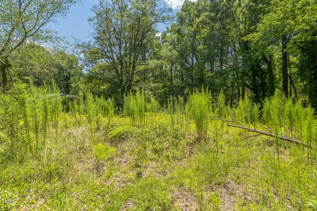 a view of swimming pool from a yard