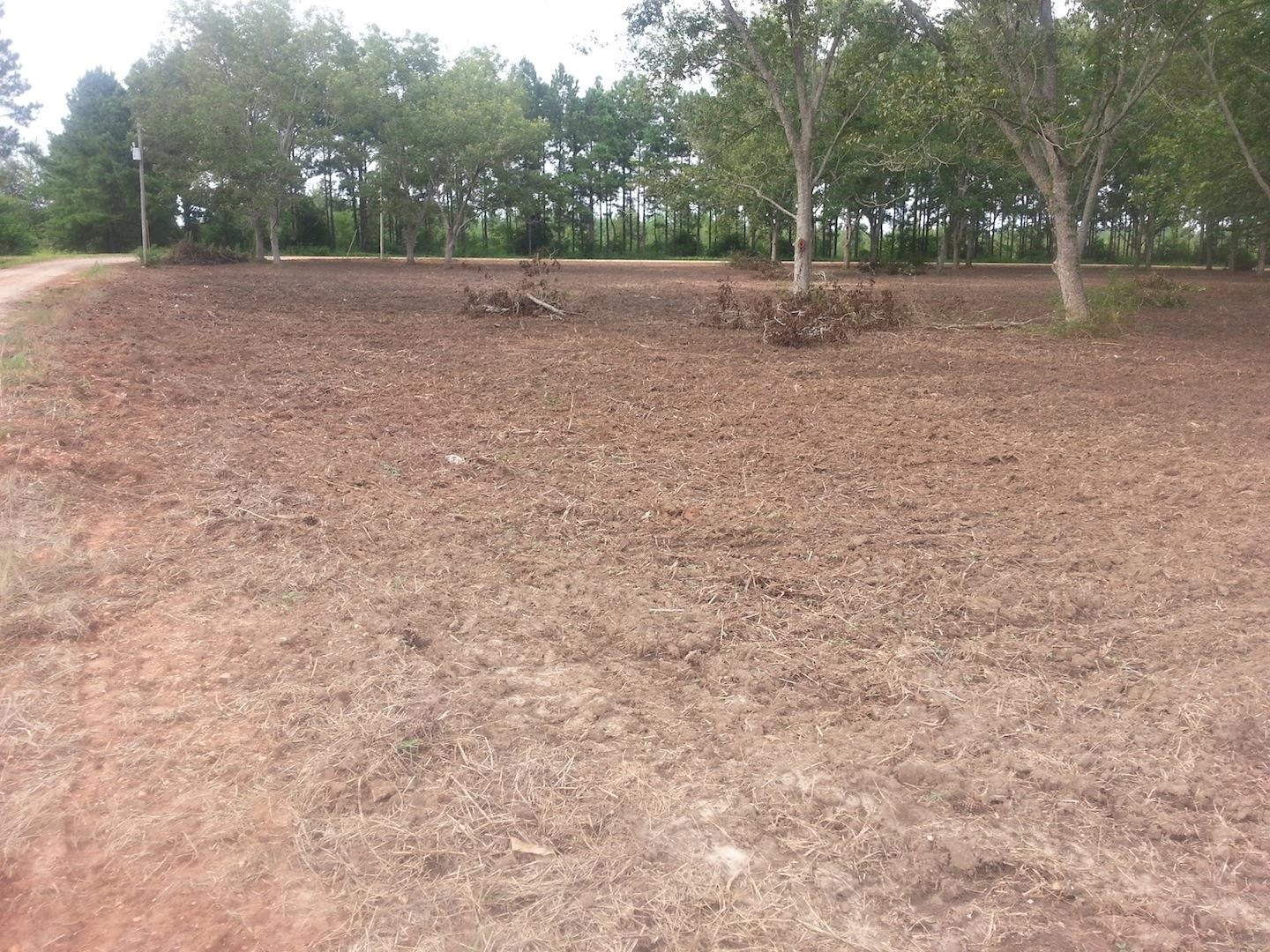 0 Engel Lane Foley, AL 36535 - Photo 1 of 5 Yard