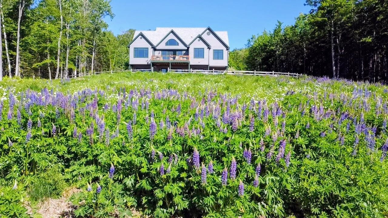 32 Mountain View Road Jackson, NH 03846 - Photo 11 of 60 Gallery Image 11