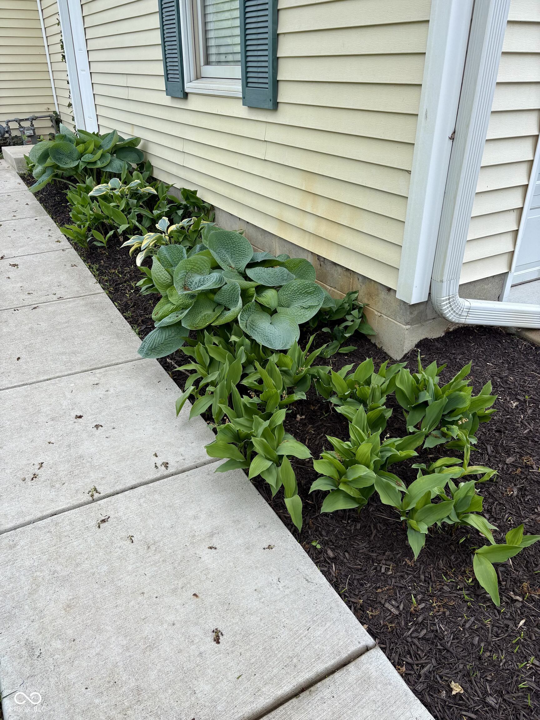 5488 North German Church Road Indianapolis, IN 46235 - Photo 51 of 59