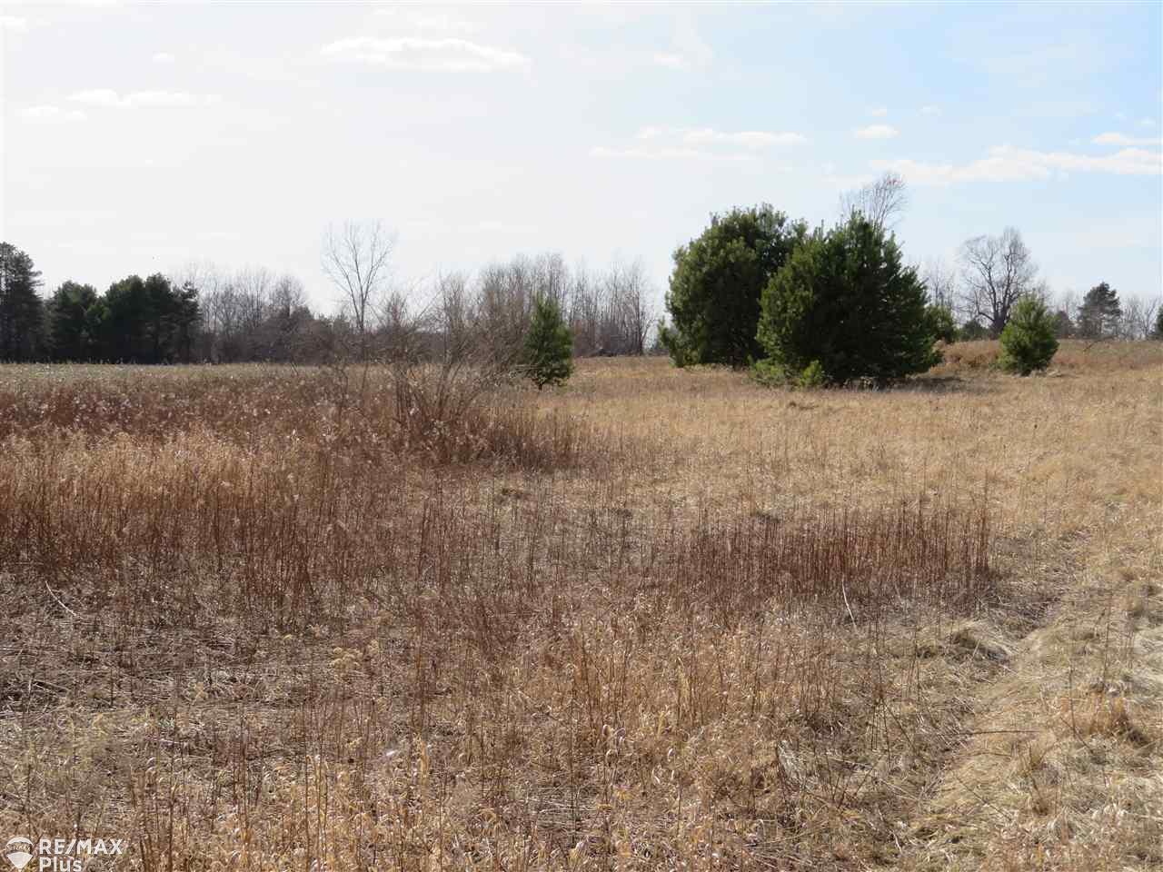 0 Thayer Road Mayville, MI 48744 - Photo 6 of 7