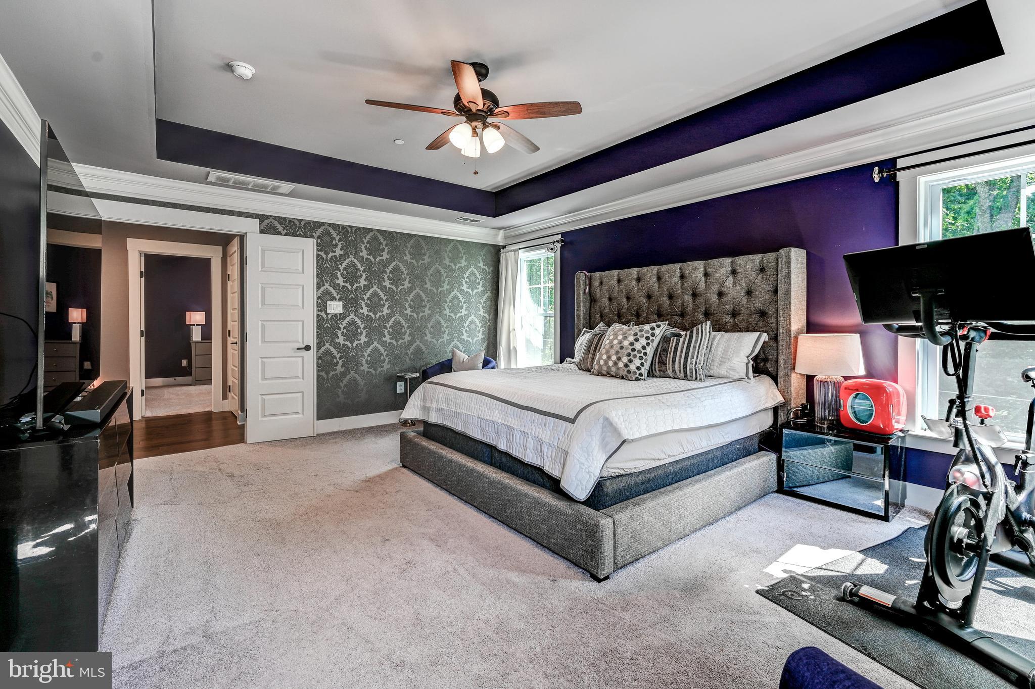 4707 Carroll Manor Road Baldwin, MD 21013 - Photo 30 of 53 Tray Ceilings