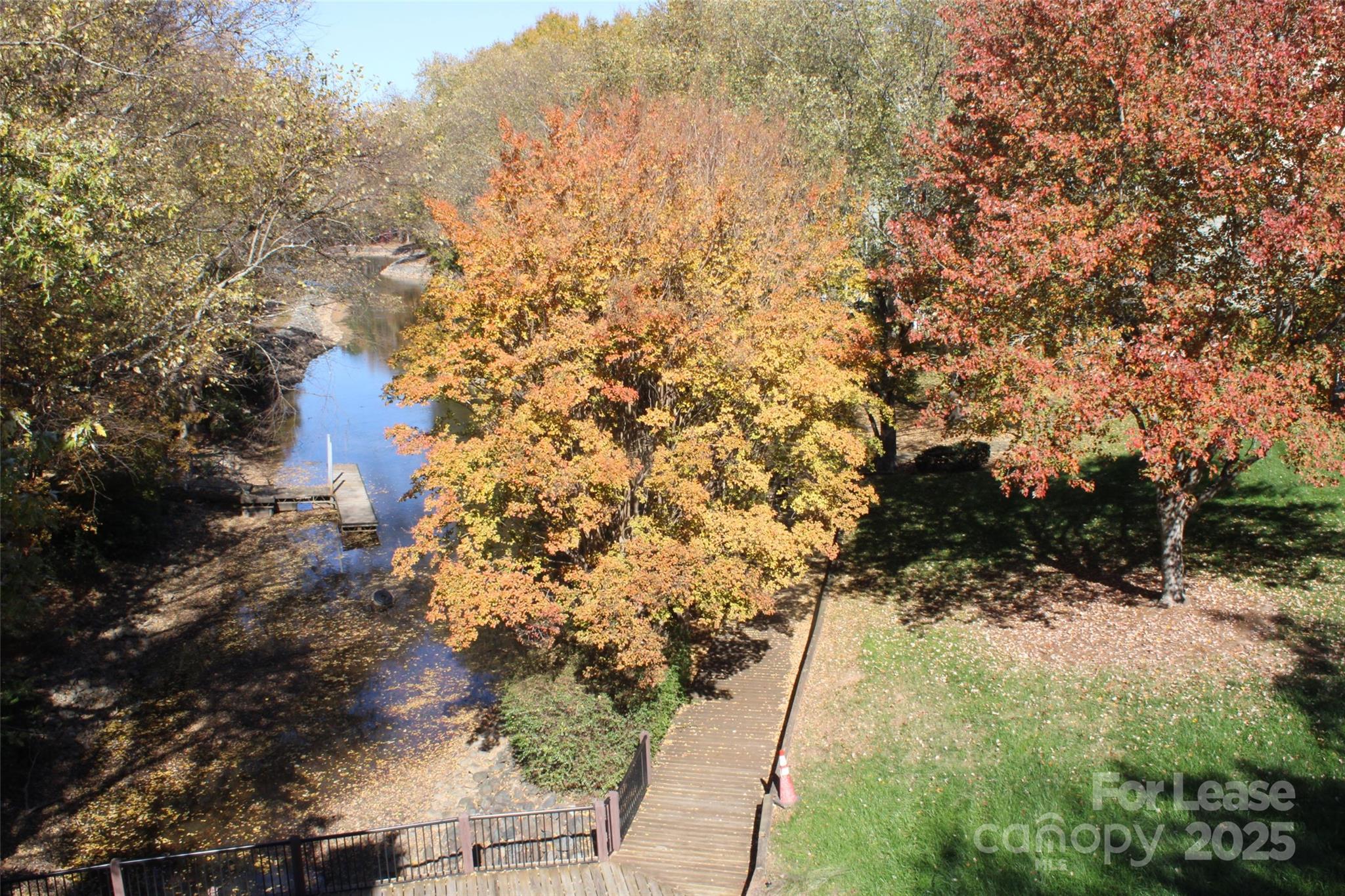 19839 Henderson Road, Unit M Cornelius, NC 28031 - Photo 23 of 23 a view of a yard with plants and large trees