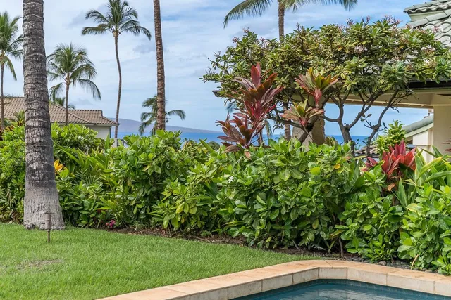 a view of a house with a big yard potted plants and a large tree
