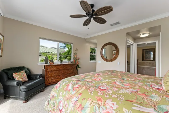 a view of a street with a palm tree