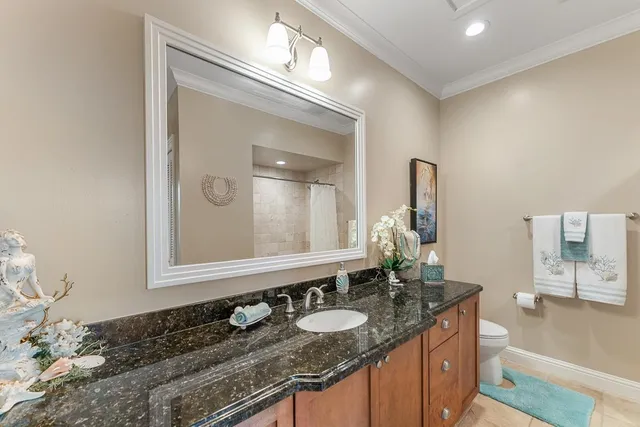 a view of a palm tree next to a yard with a tree