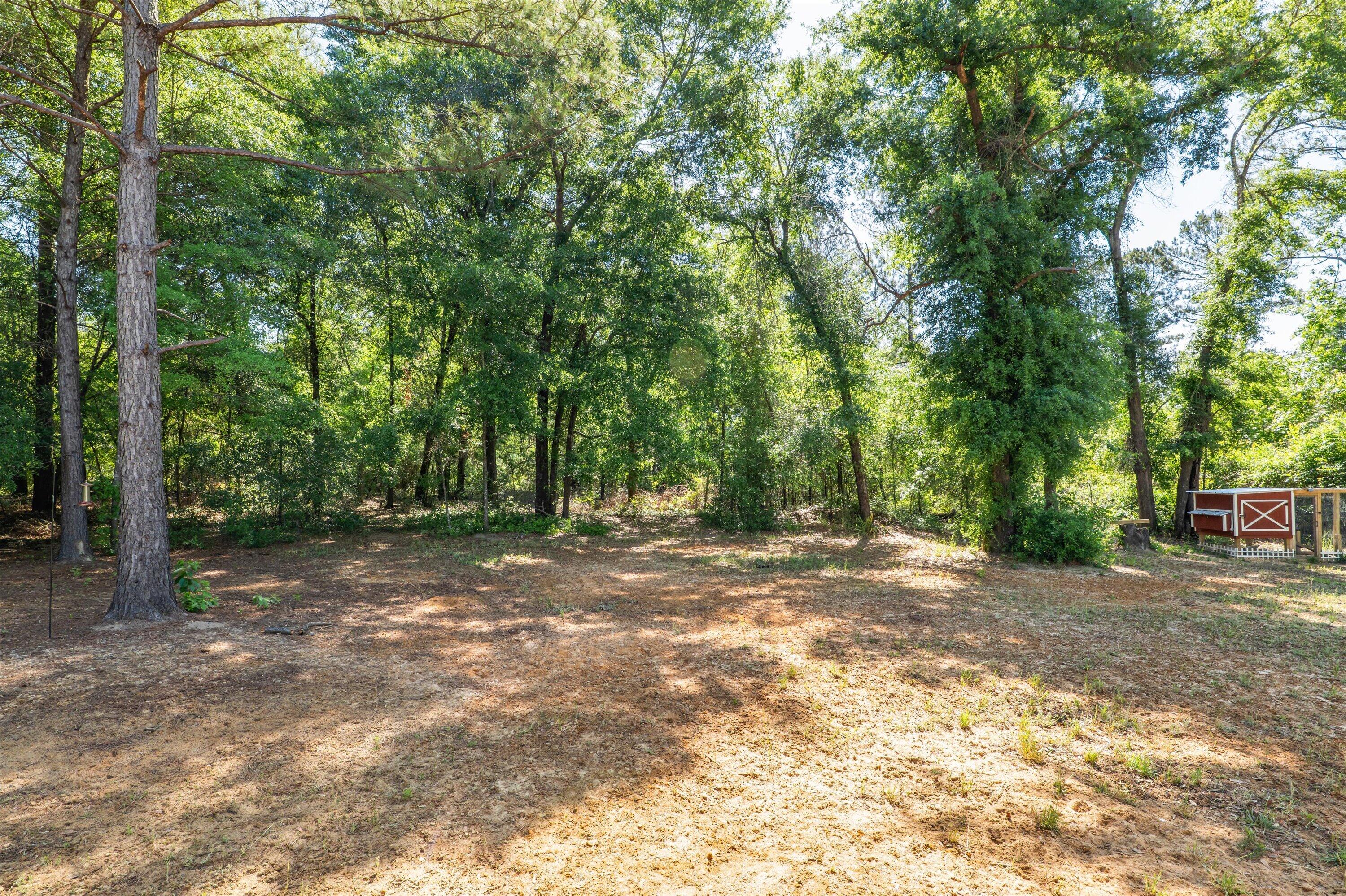 4412 Seago Road Hephzibah, GA 30815 - Photo 9 of 41 44-P2077492