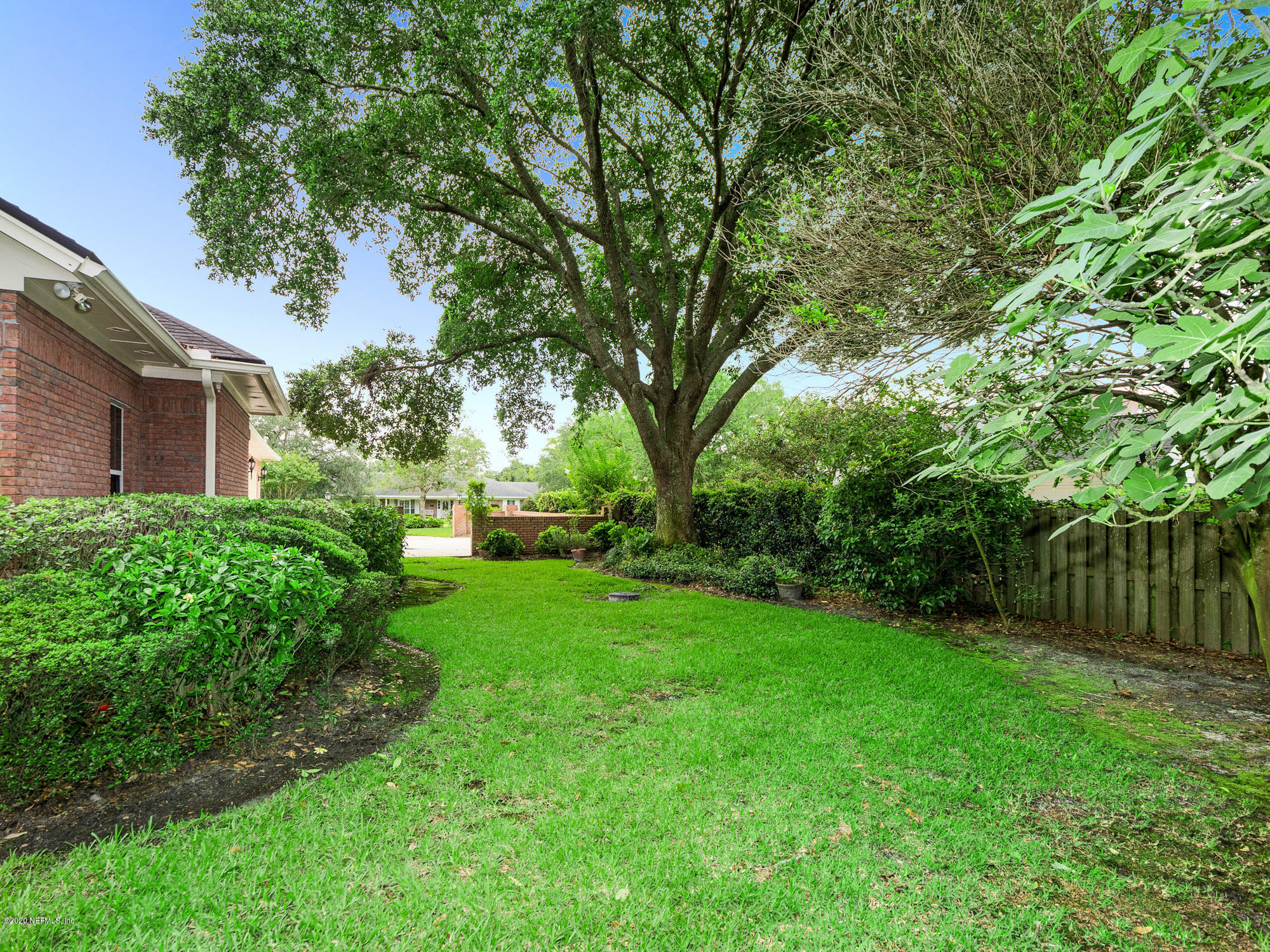 8224 Woodgrove Road Jacksonville, FL 32256 - Photo 26 of 43 Side Yard-28