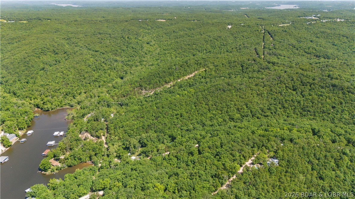 5-acres Pirates Pirates Cove Road Camdenton, MO 65020 - Photo 17 of 30