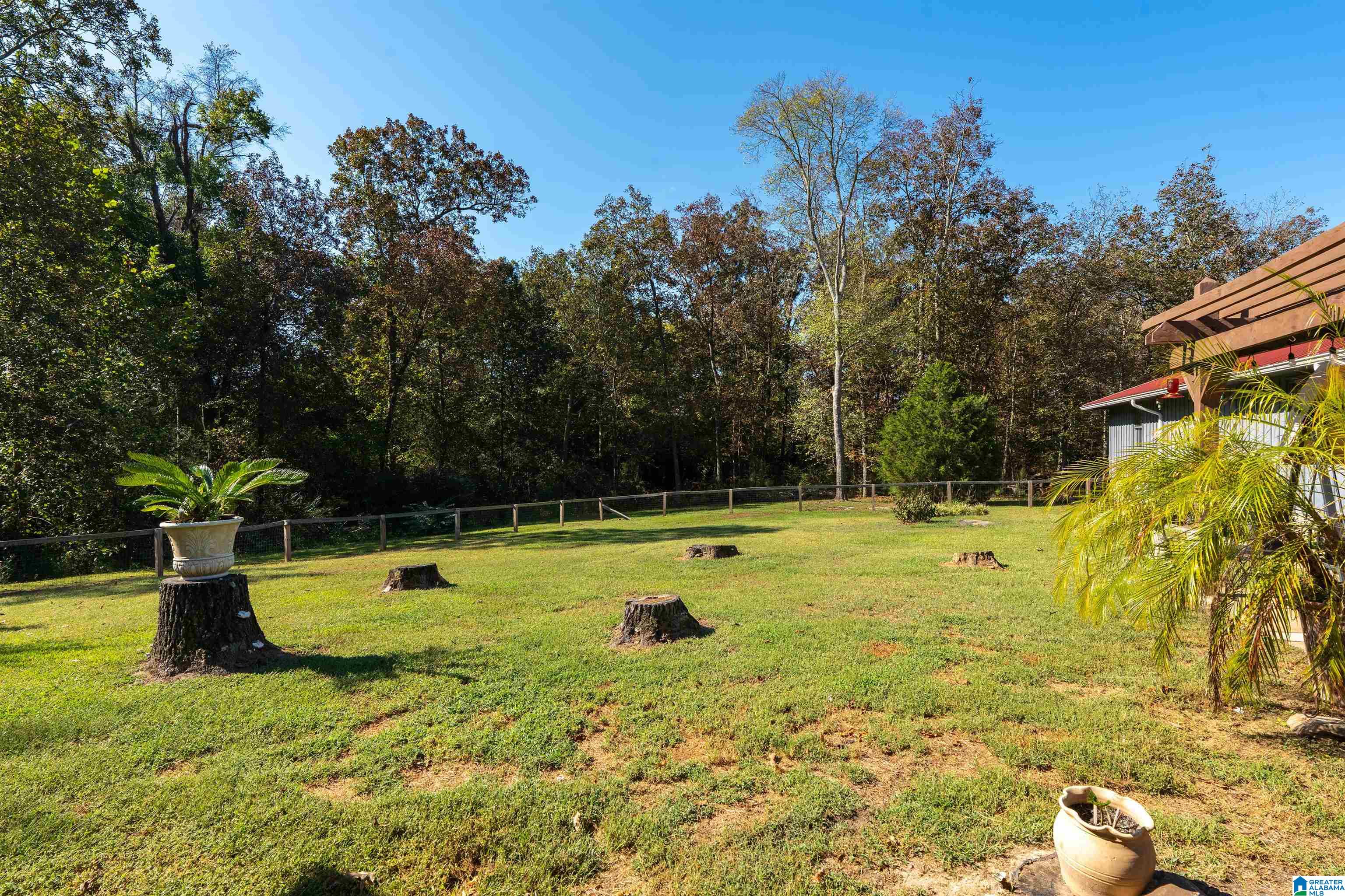 244 Mount Carmel Road Guntersville, AL 35976 - Photo 45 of 58