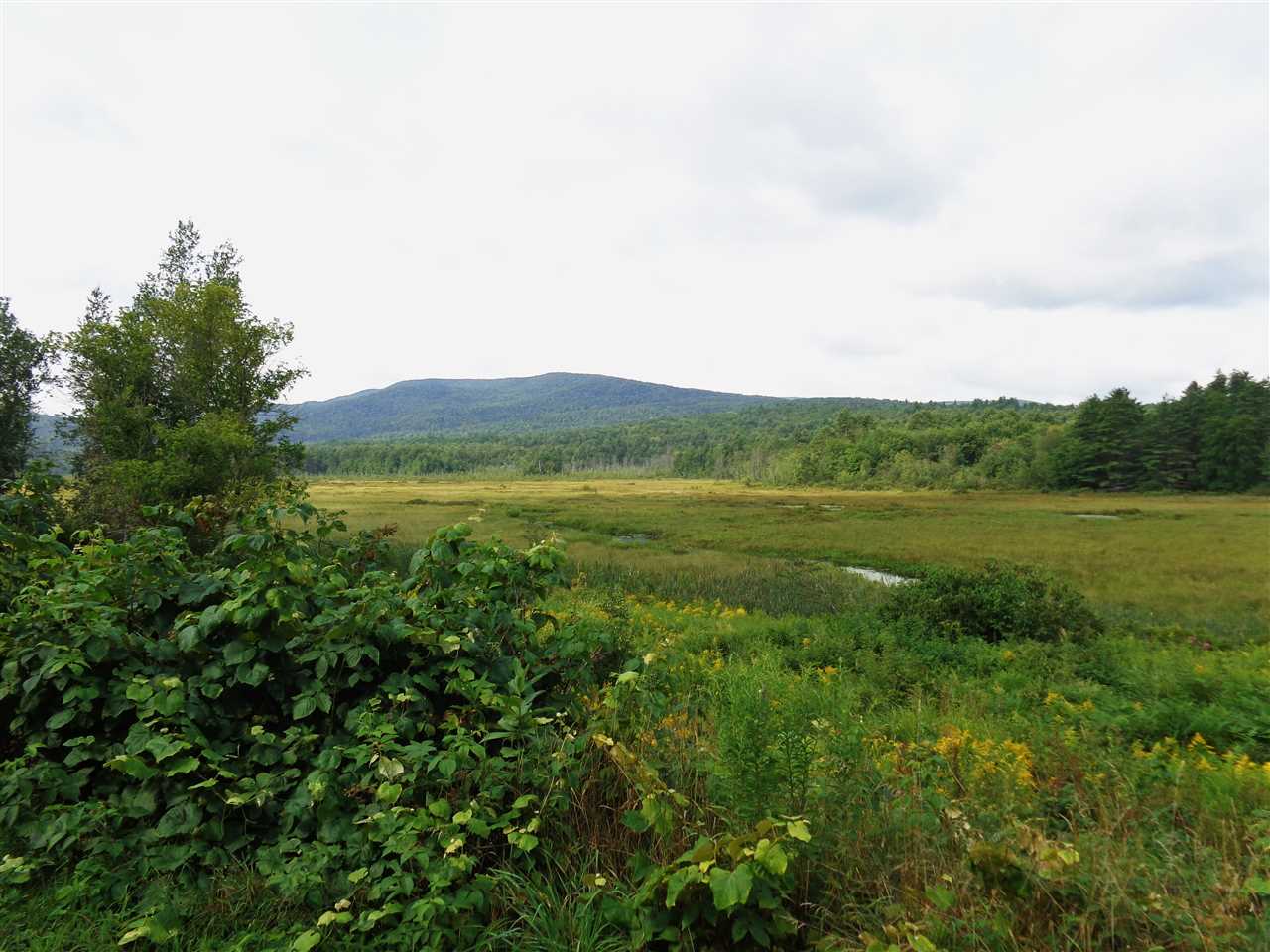 80 Foster Pond Road Alexandria, NH 03222 - Photo 11 of 15