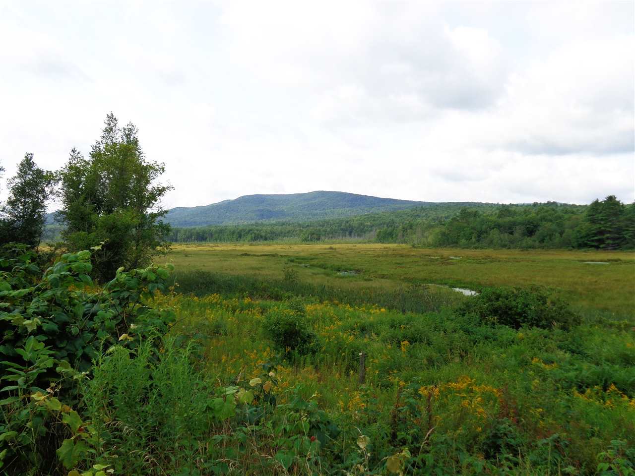 80 Foster Pond Road Alexandria, NH 03222 - Photo 12 of 15