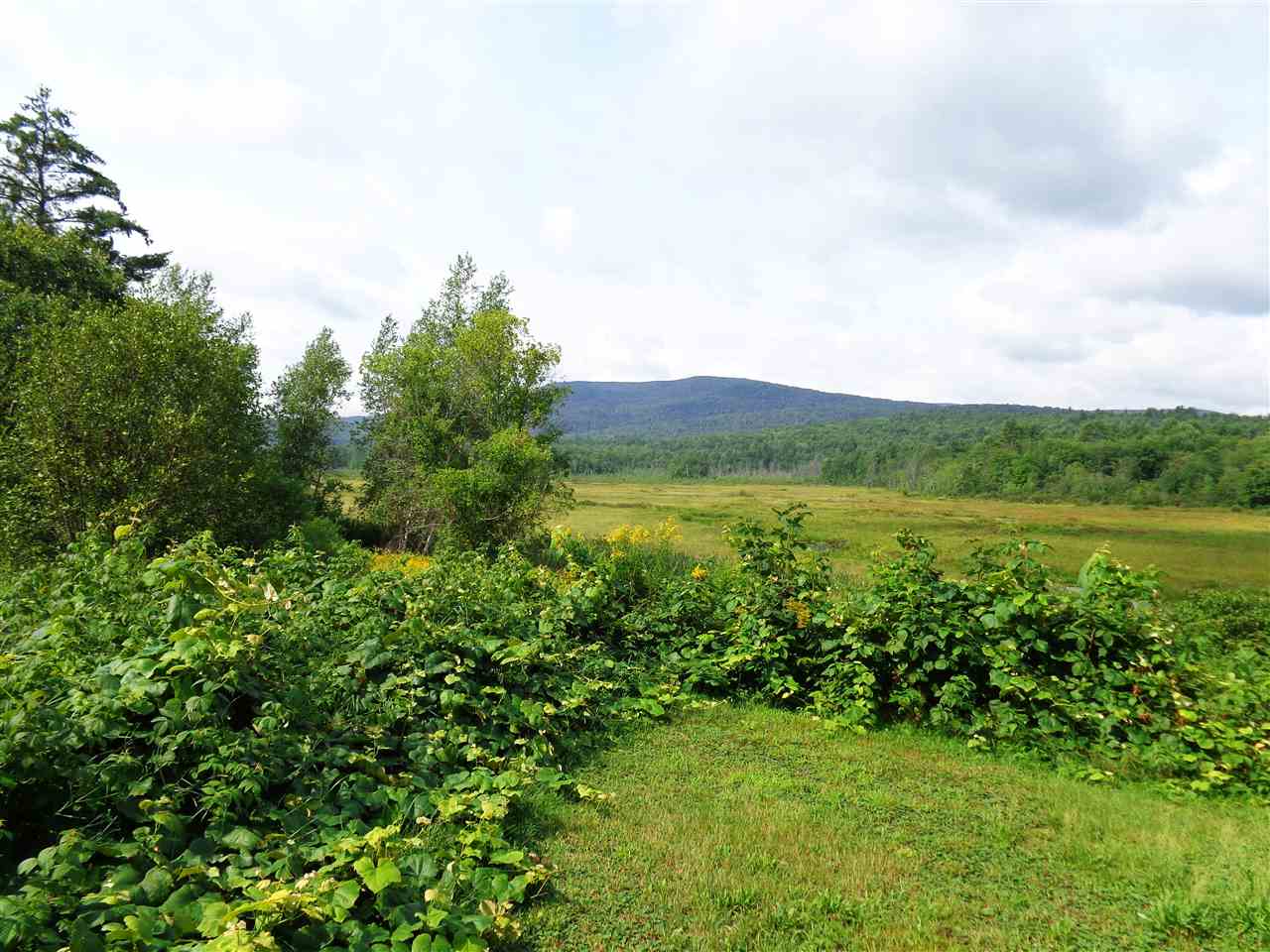 80 Foster Pond Road Alexandria, NH 03222 - Photo 9 of 15