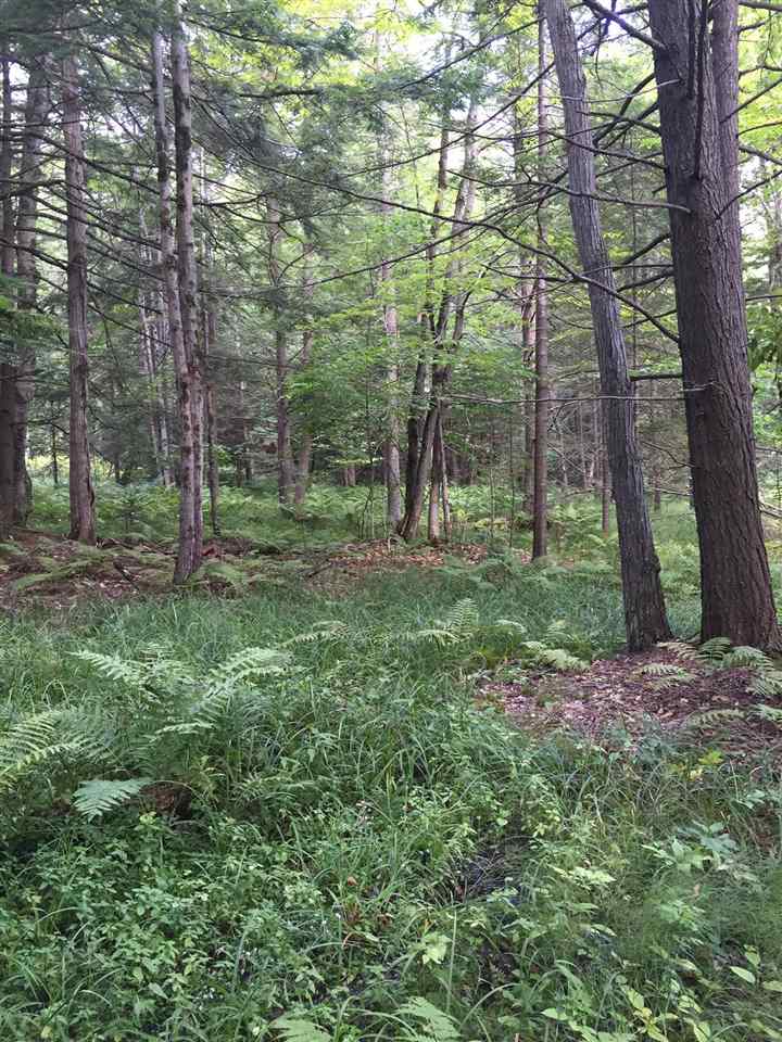0 Locust Hill Road Guilford, VT 05301 - Photo 1 of 4