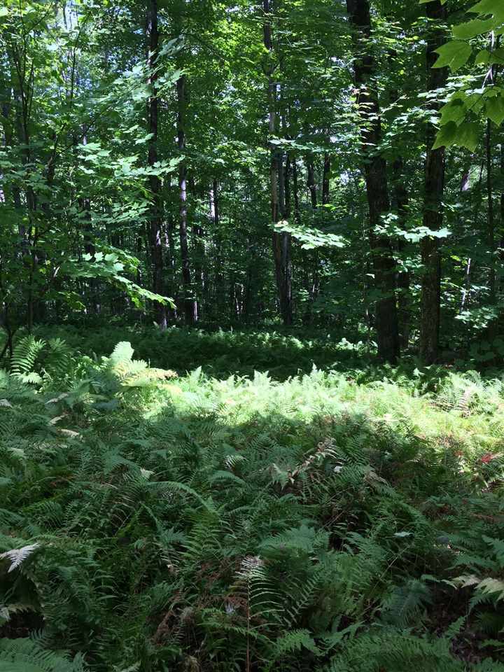 0 Locust Hill Road Guilford, VT 05301 - Photo 2 of 4